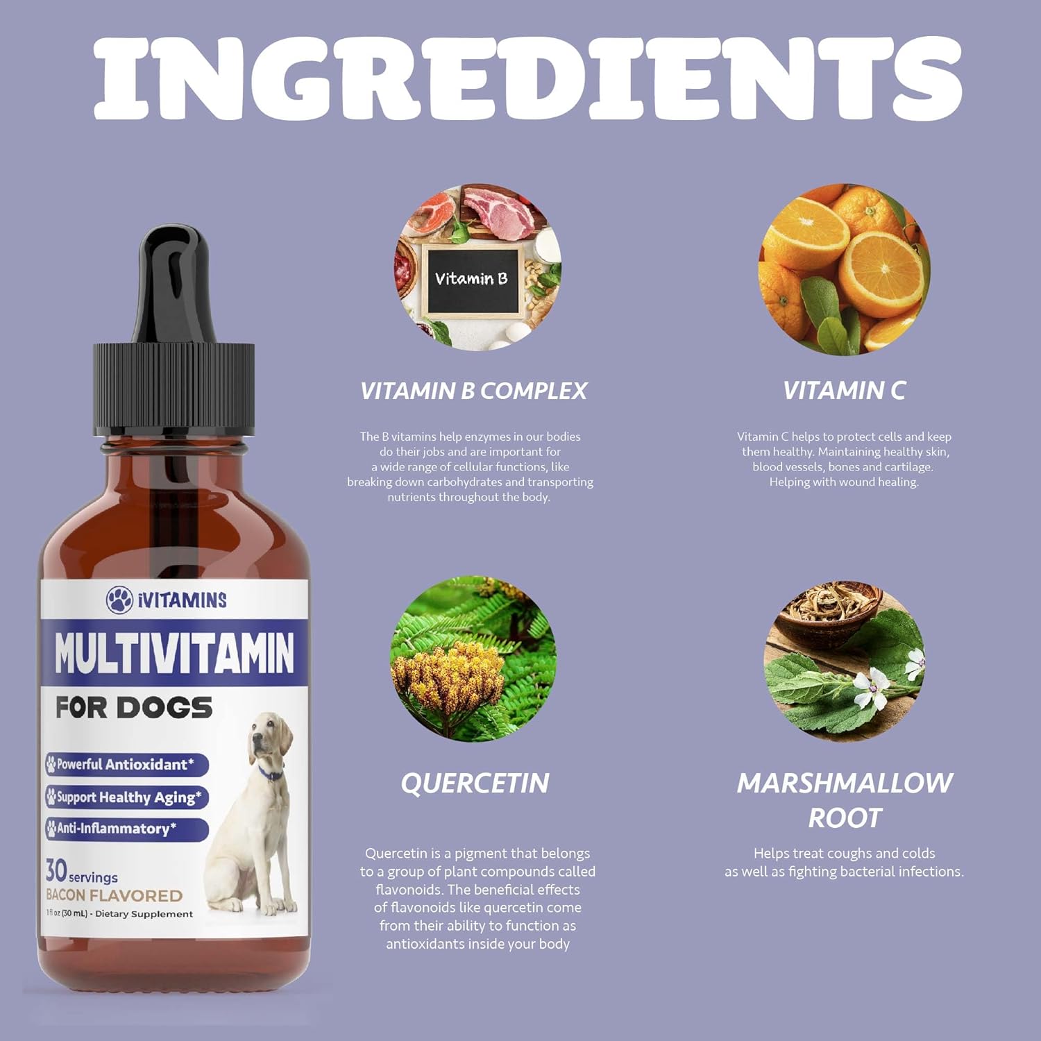 Dog Multivitamin Liquid Supplement for Joint, Gut, Immune, Skin, and Heart Health - 1 fl oz