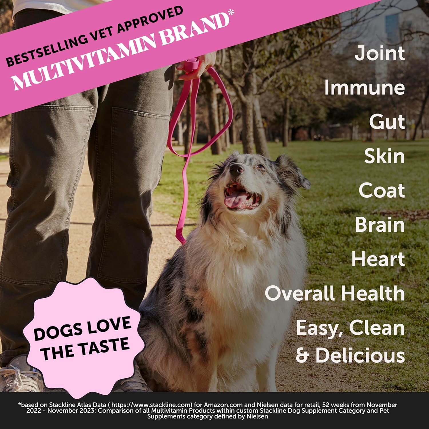 Dog Multivitamin Supplement with Salmon Oil for Allergy Itch Relief, Digestion, Skin & Coat Health - Liquid Food Topper with Prebiotics (12 oz)