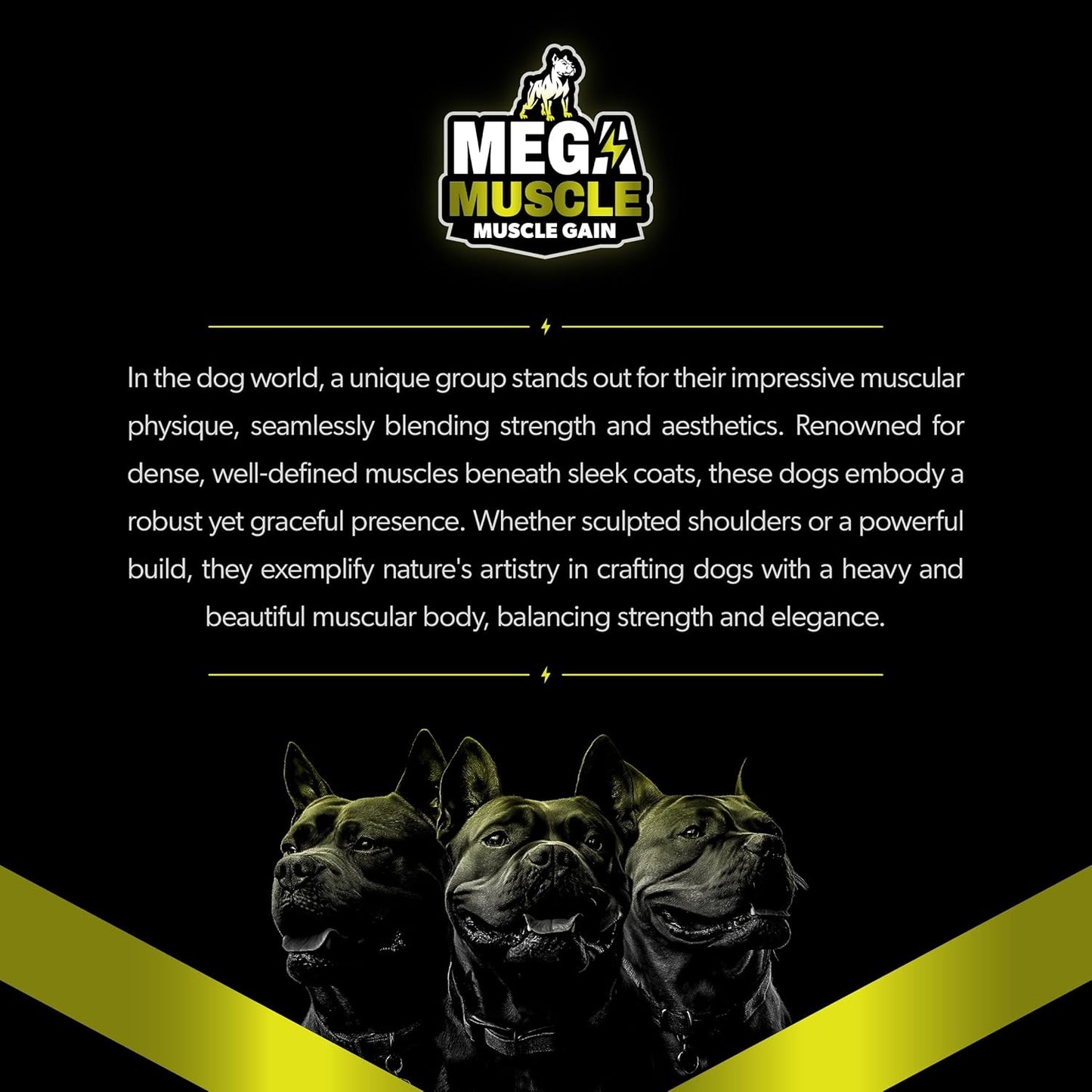 Dog Muscle Gain Chewable Tablets | 2-in-1 Daily Booster & Multivitamin | For All Life Stages | Puppy & Adult Dog Supplement | Chicken Flavor | 60 Tablets