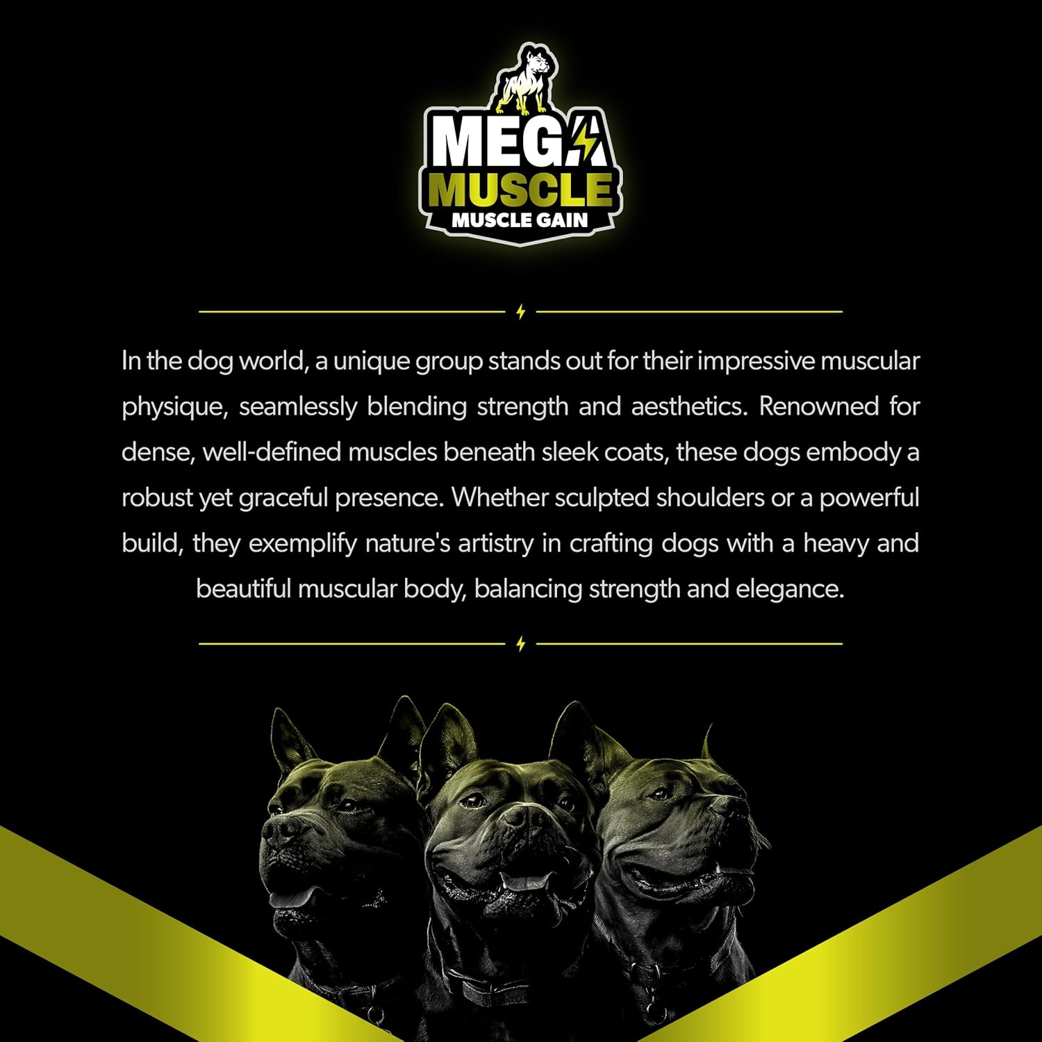 Dog Muscle Gain Chewable Tablets | 2-in-1 Daily Booster & Multivitamin | For All Life Stages | Puppy & Adult Dog Supplement | Chicken Flavor | 60 Tablets