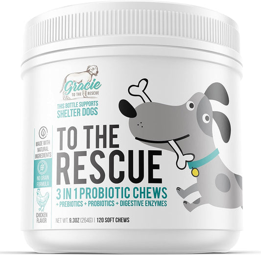 Dog Probiotic Chews for Digestive Health - 120 Soft Chews for Dogs