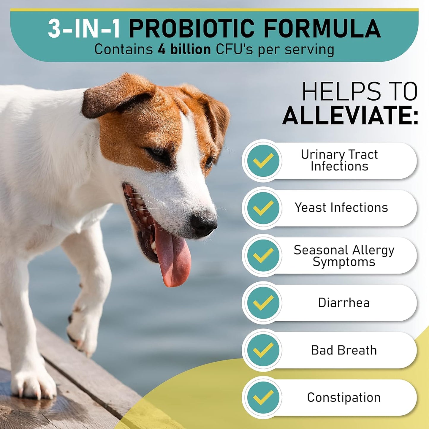 Dog Probiotic Chews for Digestive Health - 120 Soft Chews for Dogs