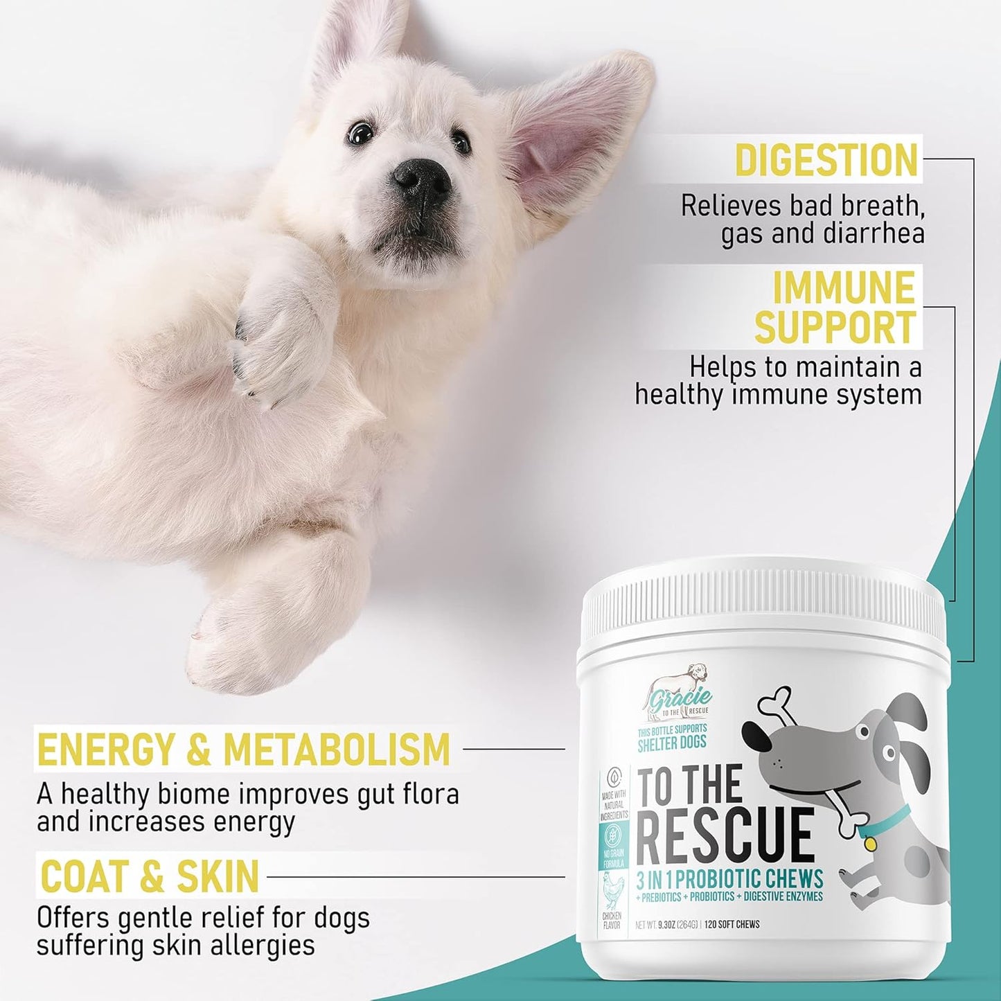 Dog Probiotic Chews for Digestive Health - 120 Soft Chews for Dogs