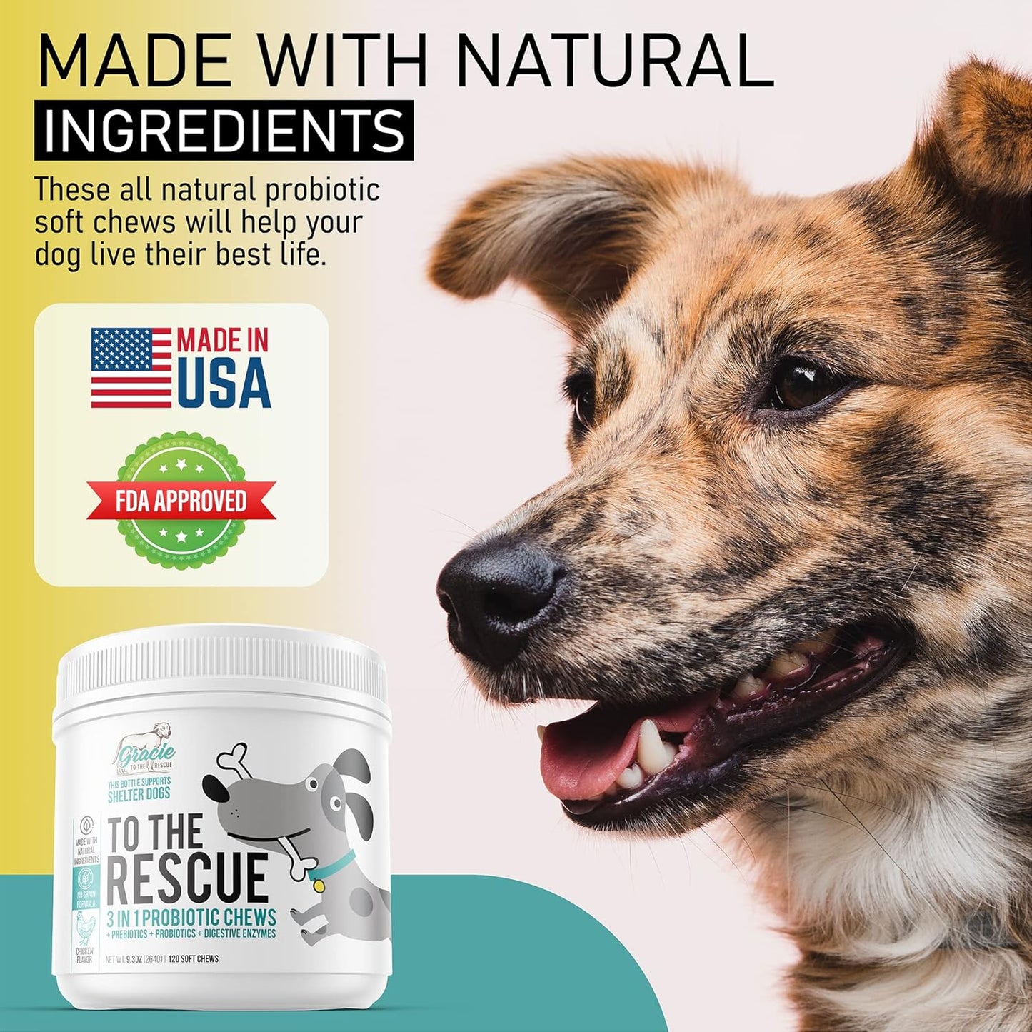 Dog Probiotic Chews for Digestive Health - 120 Soft Chews for Dogs