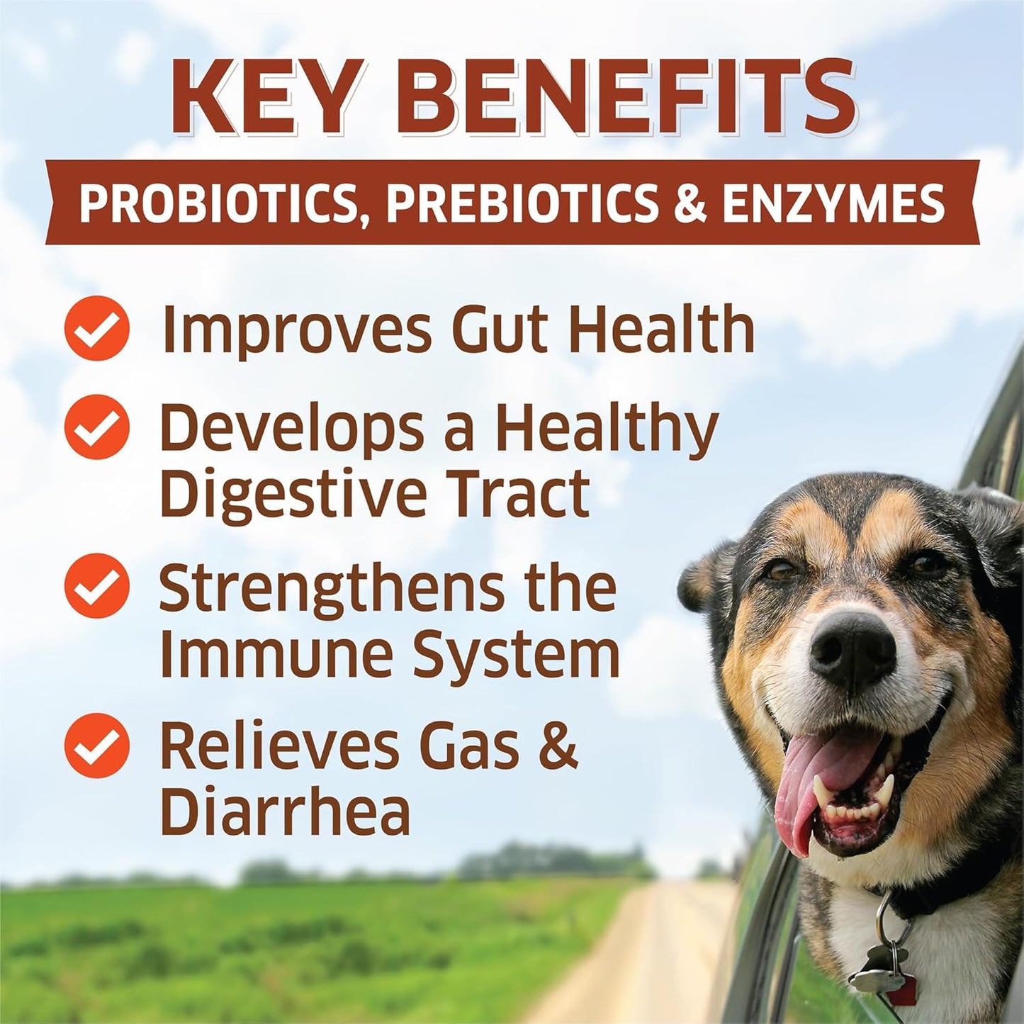 Dog Probiotic Chews with Prebiotic for Digestive Health - Hot Spot Relief, Allergy Support, Gas & Diarrhea Relief - 120 Count