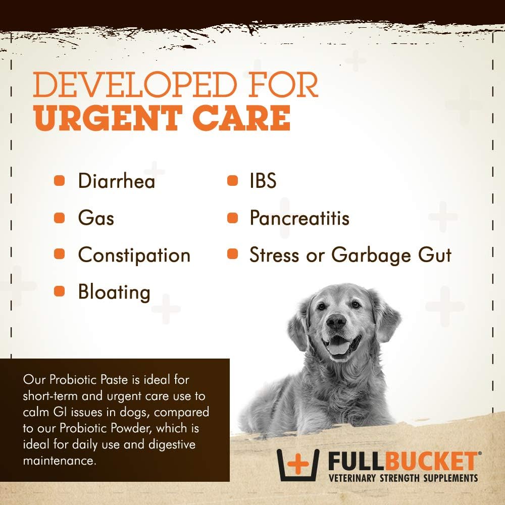 Dog Probiotic Paste with 12.5 Billion CFUs, Enzymes, Prebiotics, L-Glutamine - 32.5 mL Tube for Urgent Care