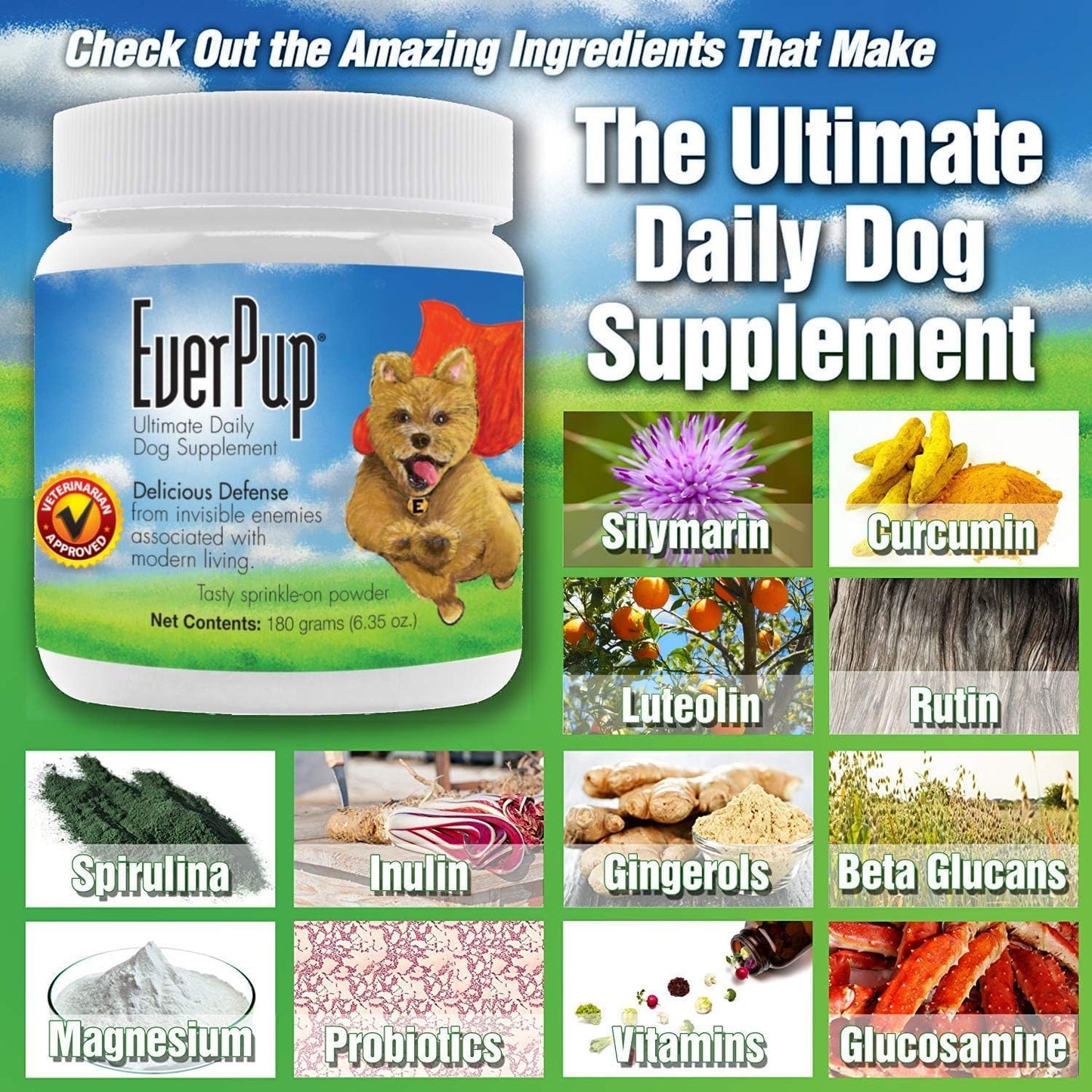 Dog Supplement for Hip & Joint Health + Digestion - Multivitamin with Glucosamine, Apoptogens, Probiotics, Prebiotics, and Enzymes