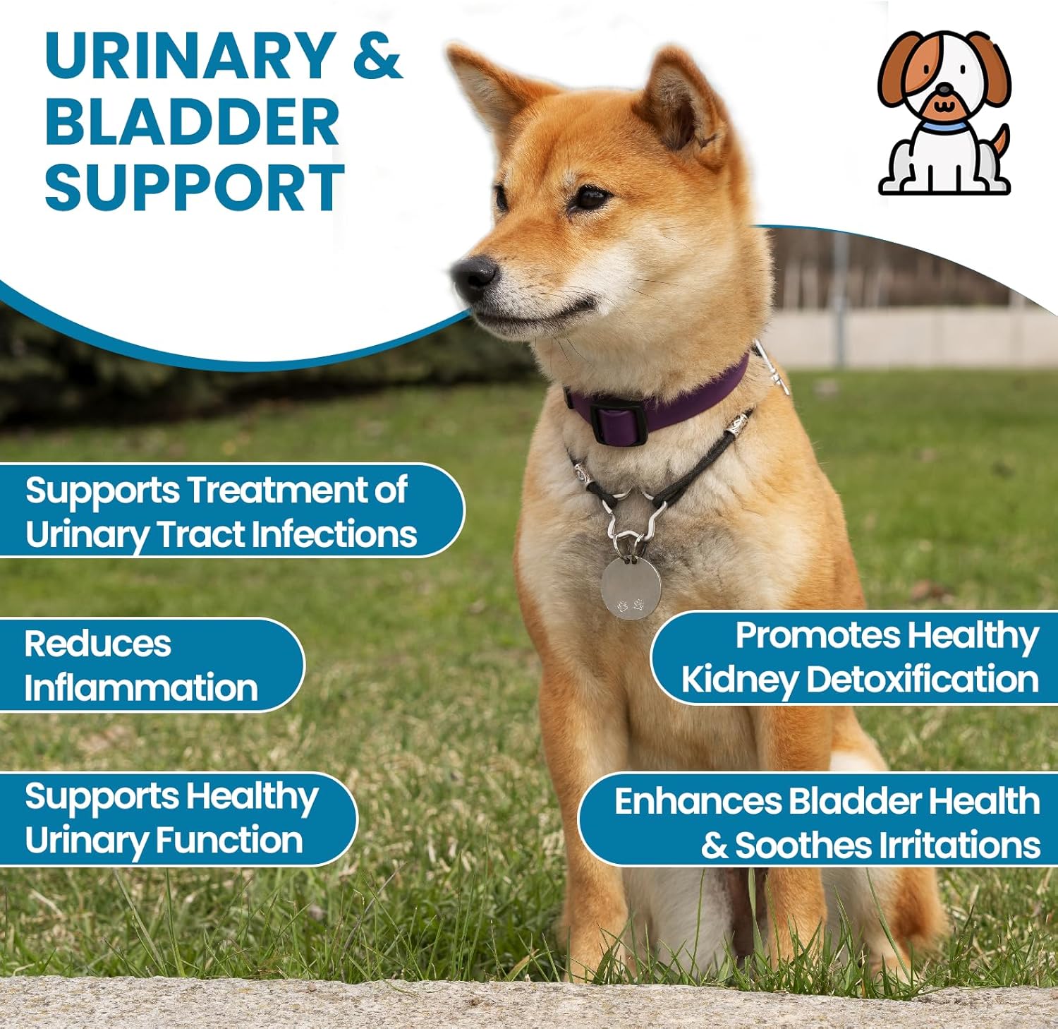 Dog Urinary Health Chews with Cranberry Extract and Echinacea for Immune System Support - 60 Count