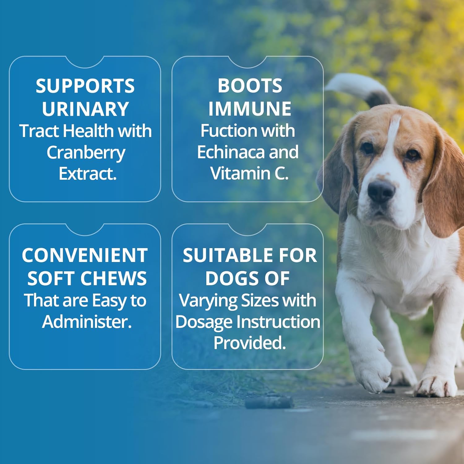 Dog Urinary Health Chews with Cranberry Extract and Echinacea for Immune System Support - 60 Count