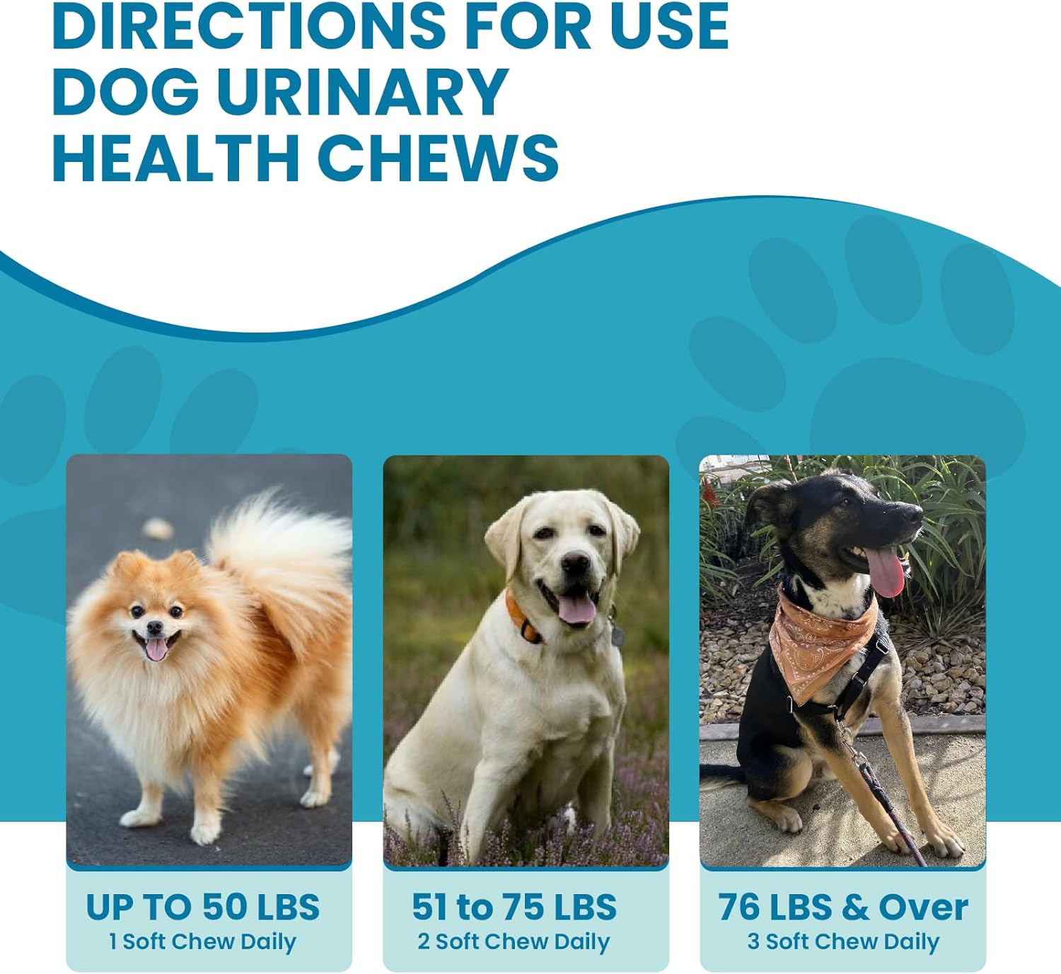 Dog Urinary Health Chews with Cranberry Extract and Echinacea for Immune System Support - 60 Count