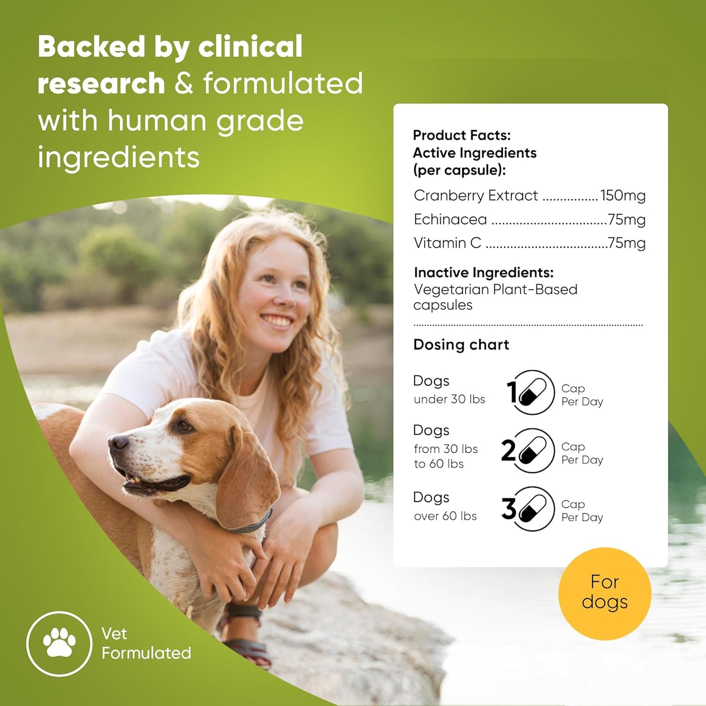Dog UTI Prevention Supplement with Echinacea and Cranberry - 60/ct Rooted Owl Urinary Support