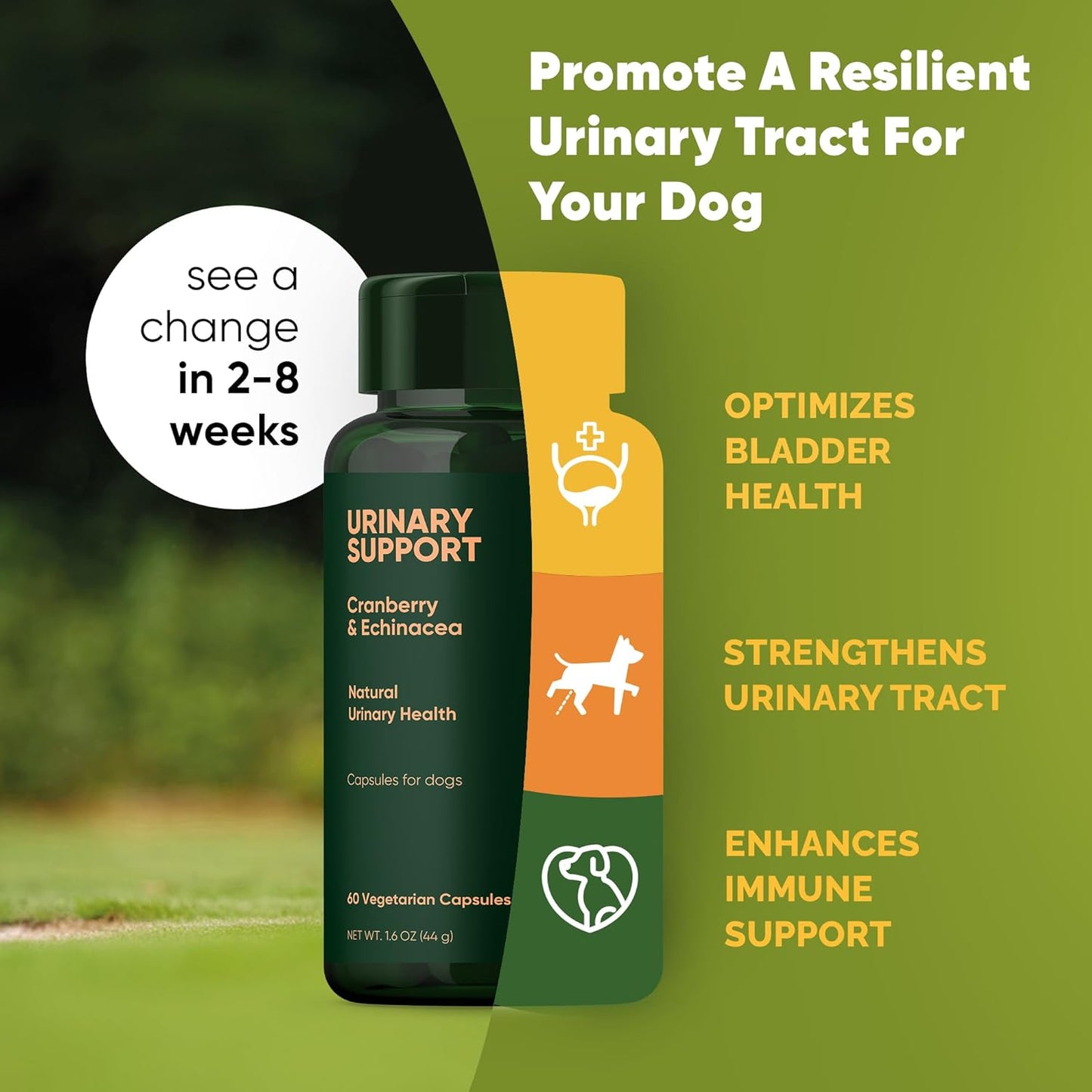 Dog UTI Prevention Supplement with Echinacea and Cranberry - 60/ct Rooted Owl Urinary Support