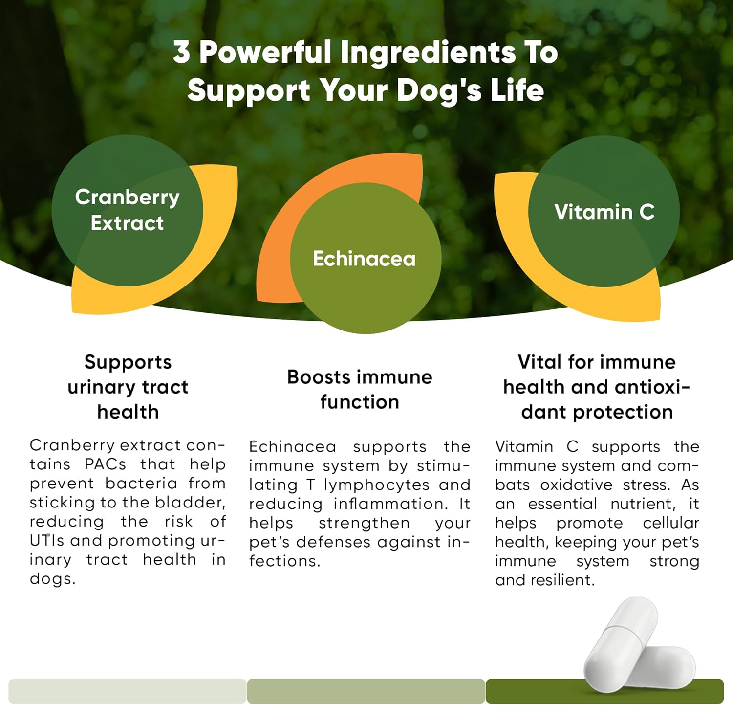 Dog UTI Prevention Supplement with Echinacea and Cranberry - 60/ct Rooted Owl Urinary Support