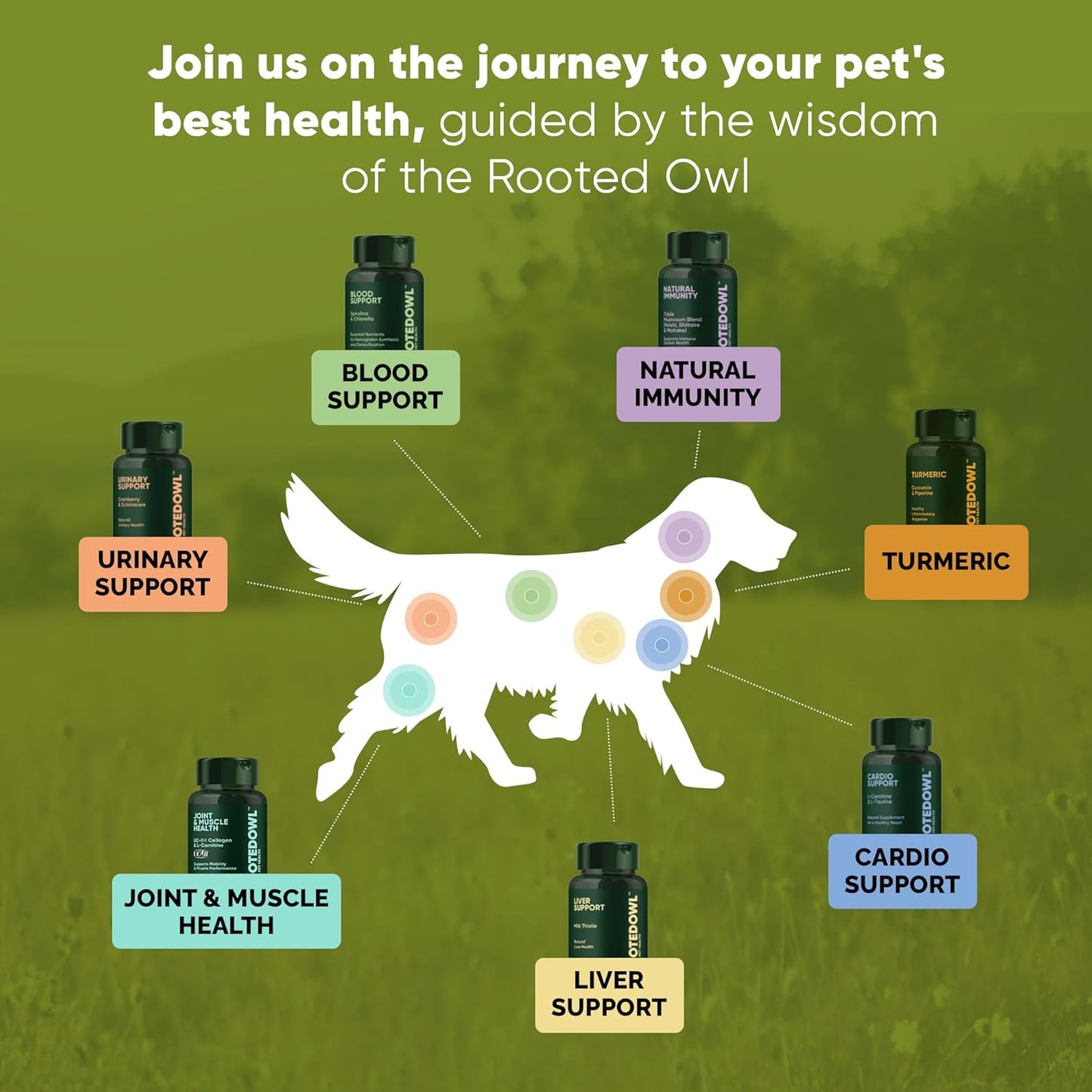 Dog UTI Prevention Supplement with Echinacea and Cranberry - 60/ct Rooted Owl Urinary Support