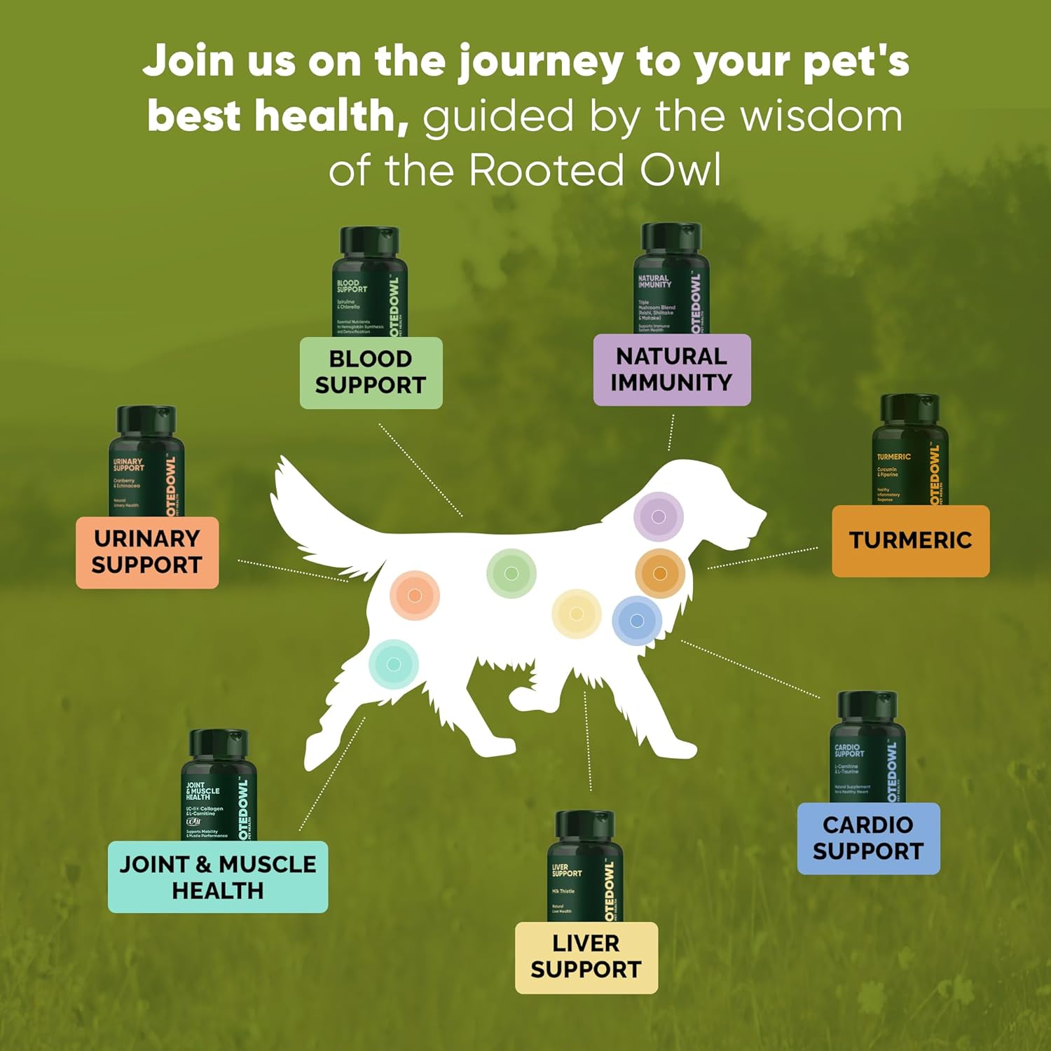 Dog UTI Prevention Supplement with Echinacea and Cranberry - 60/ct Rooted Owl Urinary Support