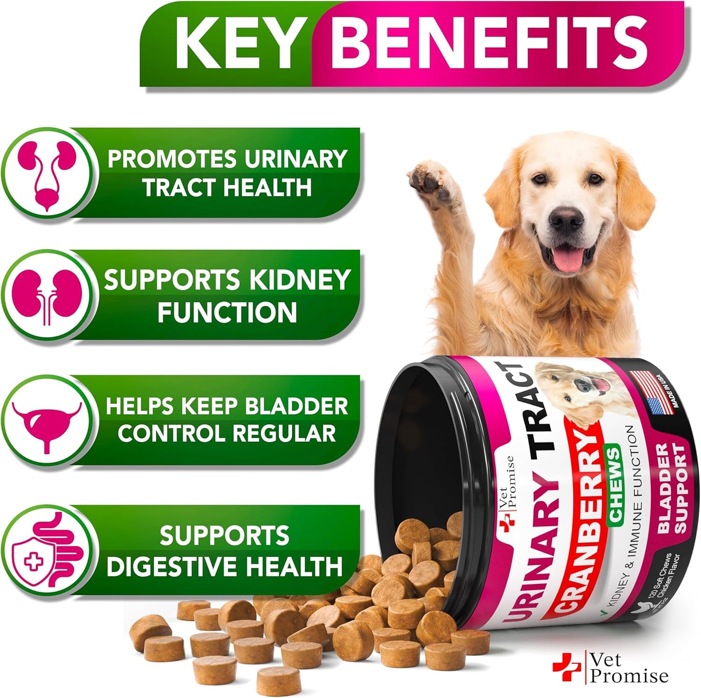 Dog UTI Treatment - Cranberry Supplement for Bladder Control & Infections - Made in USA - Multivitamin Chews for Urinary Health