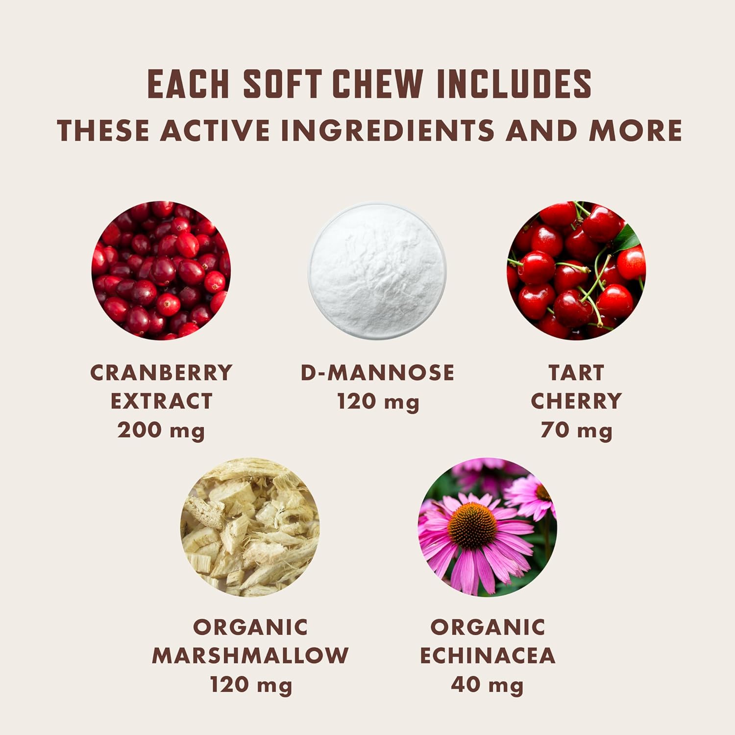 Dog UTI Treatment Soft Chews with Cranberry, D-Mannose, and Tart Cherry - Bladder Control and Urinary Tract Support for Dogs - 90 ct