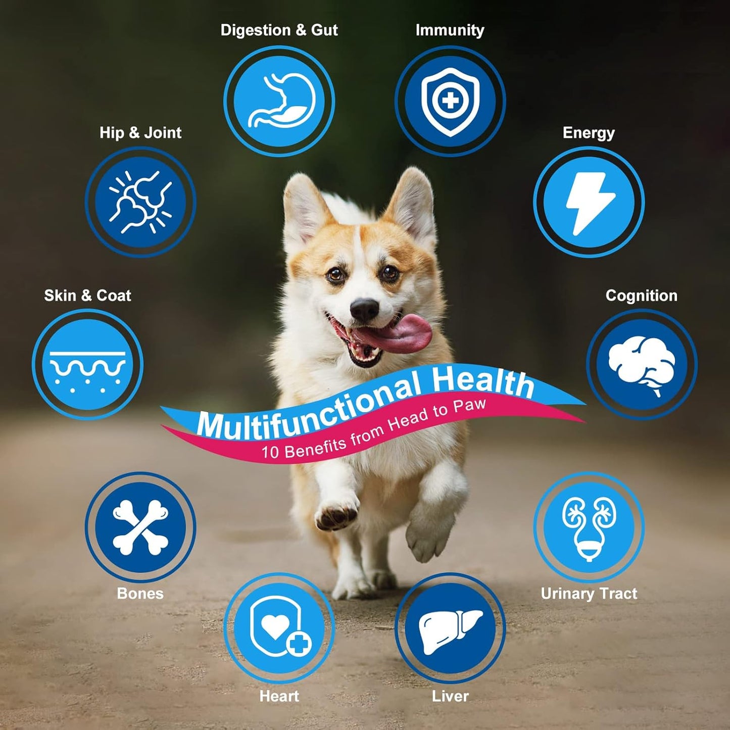 Dog Vitamins Powder with Probiotics, Enzymes, Glucosamine, Chondroitin & Omega 3 - Complete Supplement for Homemade Food, Joint, Skin & Immune Support