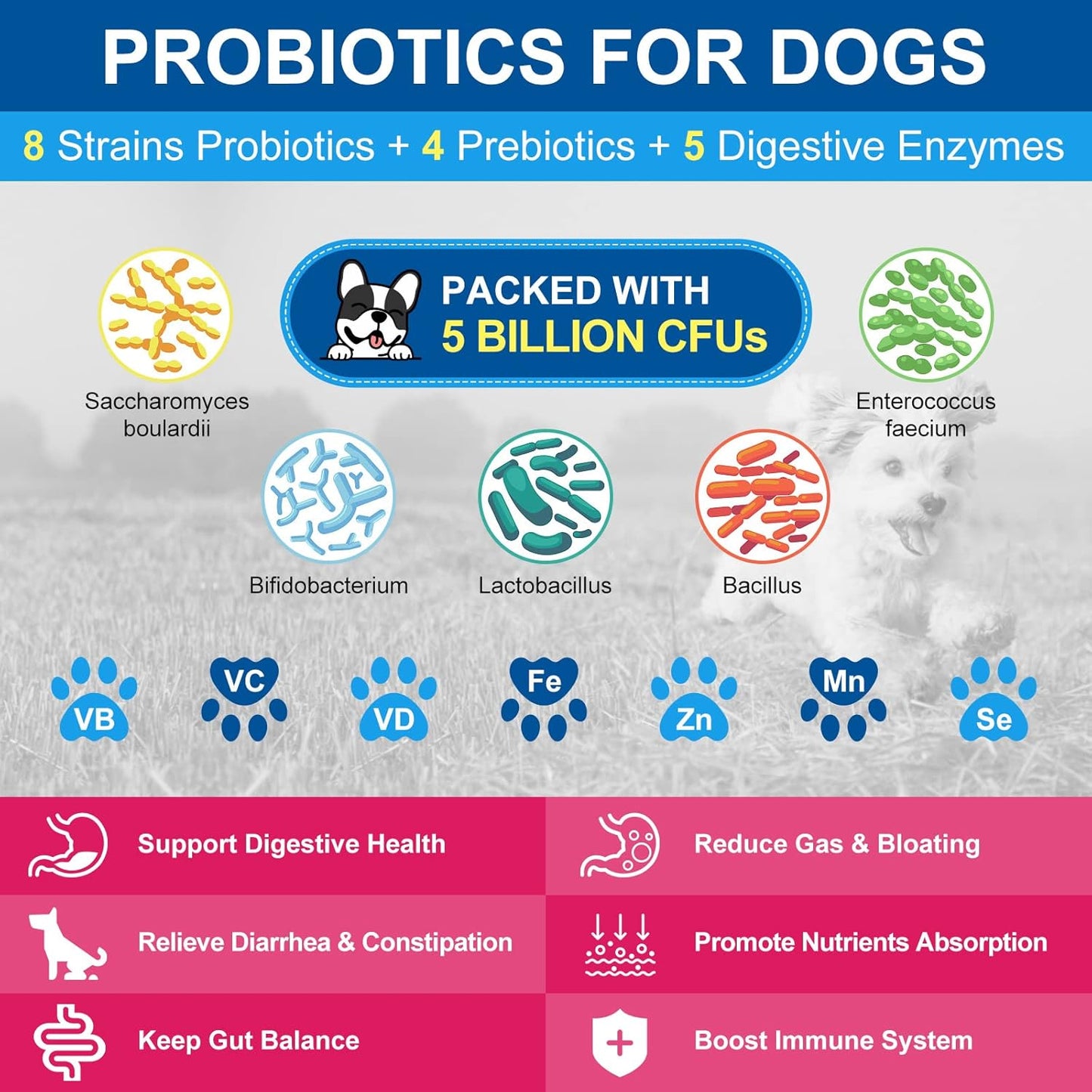 Dog Vitamins Powder with Probiotics, Enzymes, Glucosamine, Chondroitin & Omega 3 - Complete Supplement for Homemade Food, Joint, Skin & Immune Support