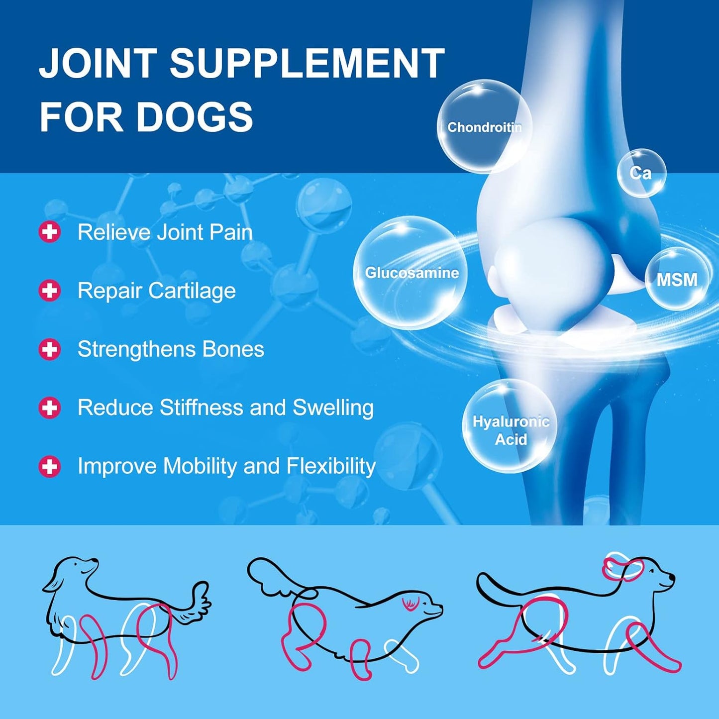 Dog Vitamins Powder with Probiotics, Enzymes, Glucosamine, Chondroitin & Omega 3 - Complete Supplement for Homemade Food, Joint, Skin & Immune Support