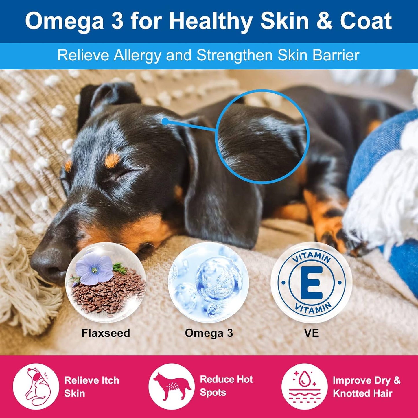 Dog Vitamins Powder with Probiotics, Enzymes, Glucosamine, Chondroitin & Omega 3 - Complete Supplement for Homemade Food, Joint, Skin & Immune Support