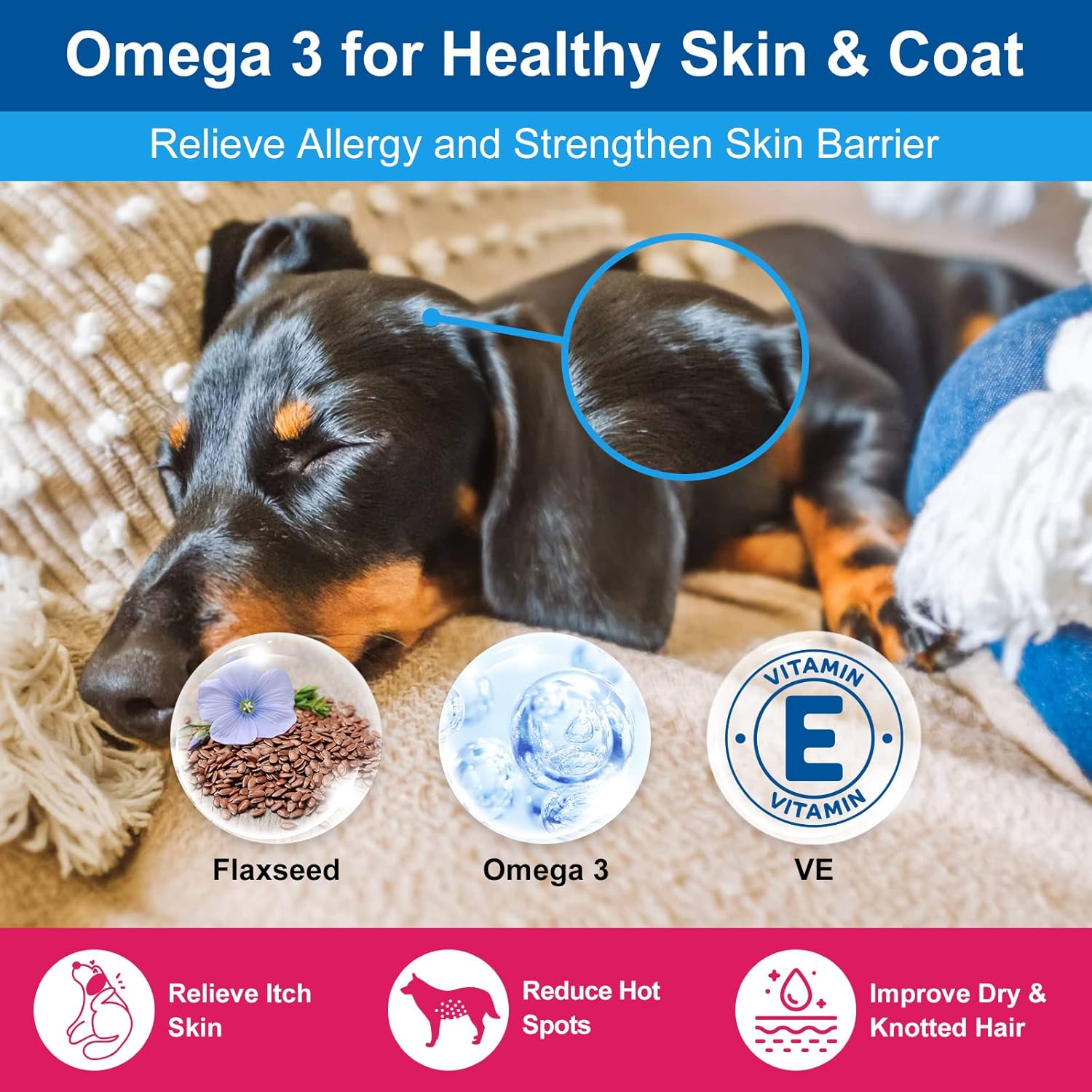 Dog Vitamins Powder with Probiotics, Enzymes, Glucosamine, Chondroitin & Omega 3 - Complete Supplement for Homemade Food, Joint, Skin & Immune Support