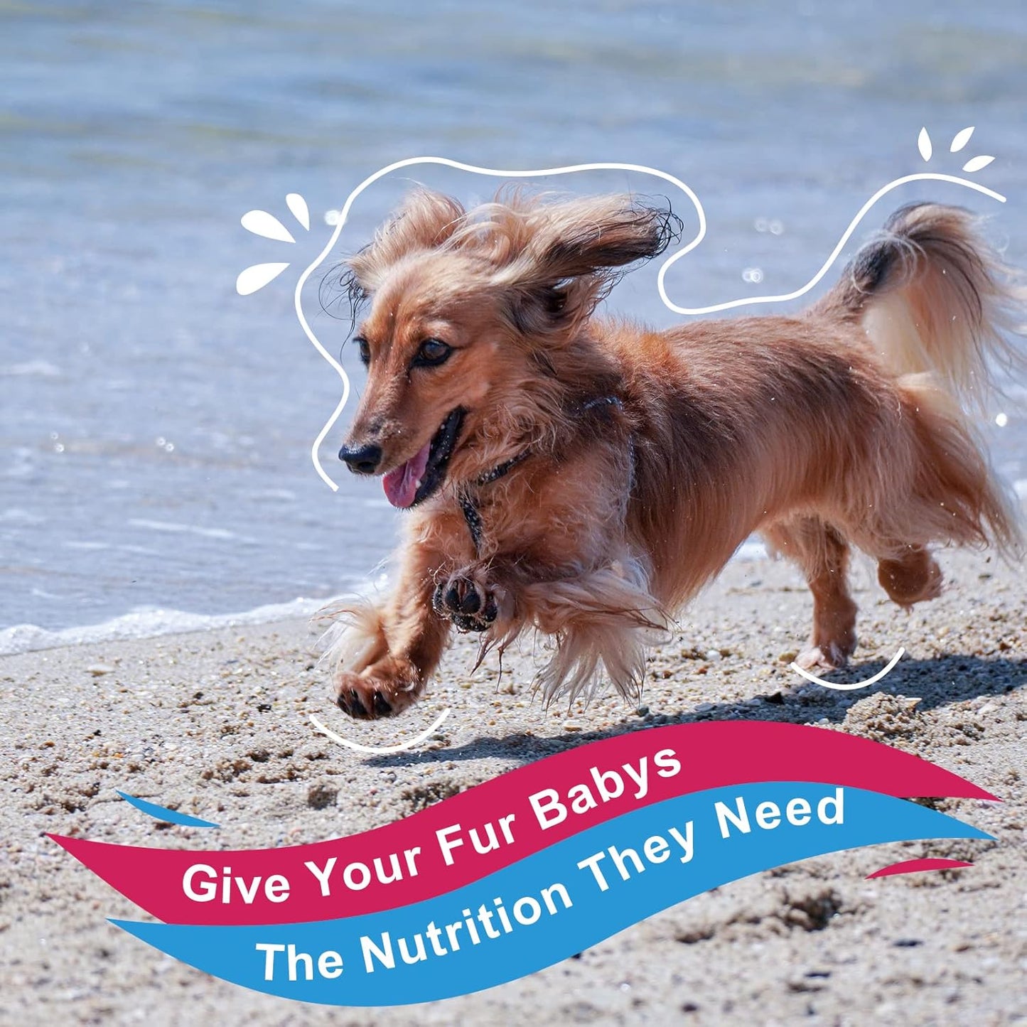 Dog Vitamins Powder with Probiotics, Enzymes, Glucosamine, Chondroitin & Omega 3 - Complete Supplement for Homemade Food, Joint, Skin & Immune Support