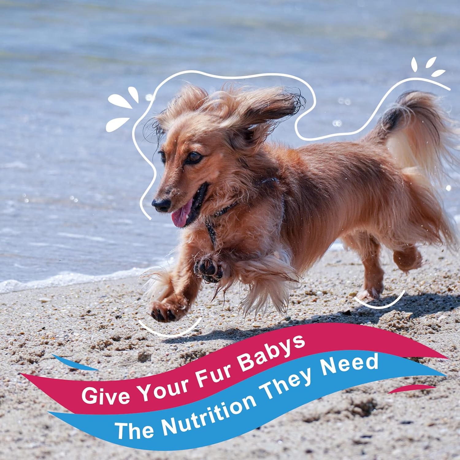Dog Vitamins Powder with Probiotics, Enzymes, Glucosamine, Chondroitin & Omega 3 - Complete Supplement for Homemade Food, Joint, Skin & Immune Support