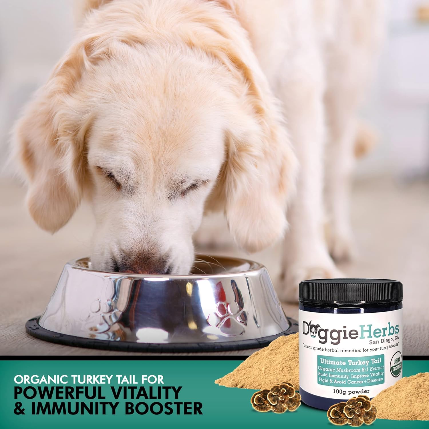 Doggie Herbs Turkey Tail Extract 8:1 - 100g with 389mg Beta Glucan, High Polysaccharides