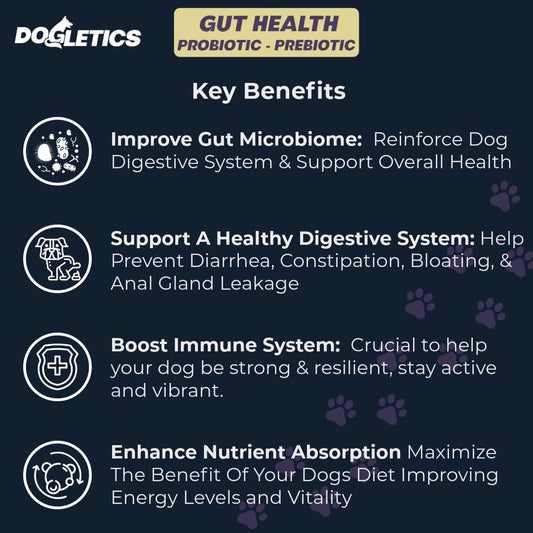 Dogletics 90ct Probiotic & Prebiotic for Gut Health - Supports Stomach Microbiome, Prevents Digestive Problems, Reduces Anal Gland Issues, Boosts Immune Function and Energy