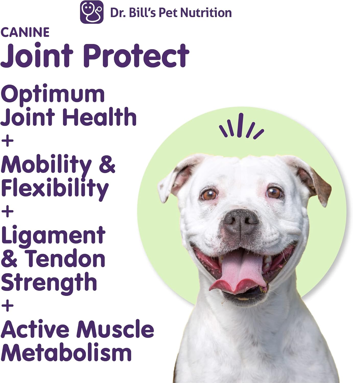 Dr. Bill's Canine Joint Protect Supplement for Strong Ligaments and Tendons