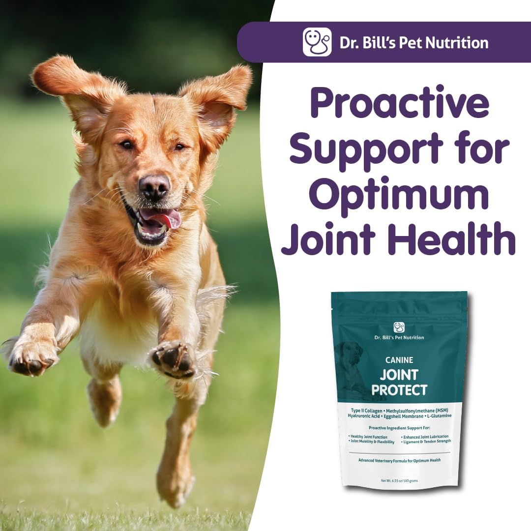 Dr. Bill's Canine Joint Protect Supplement for Strong Ligaments and Tendons