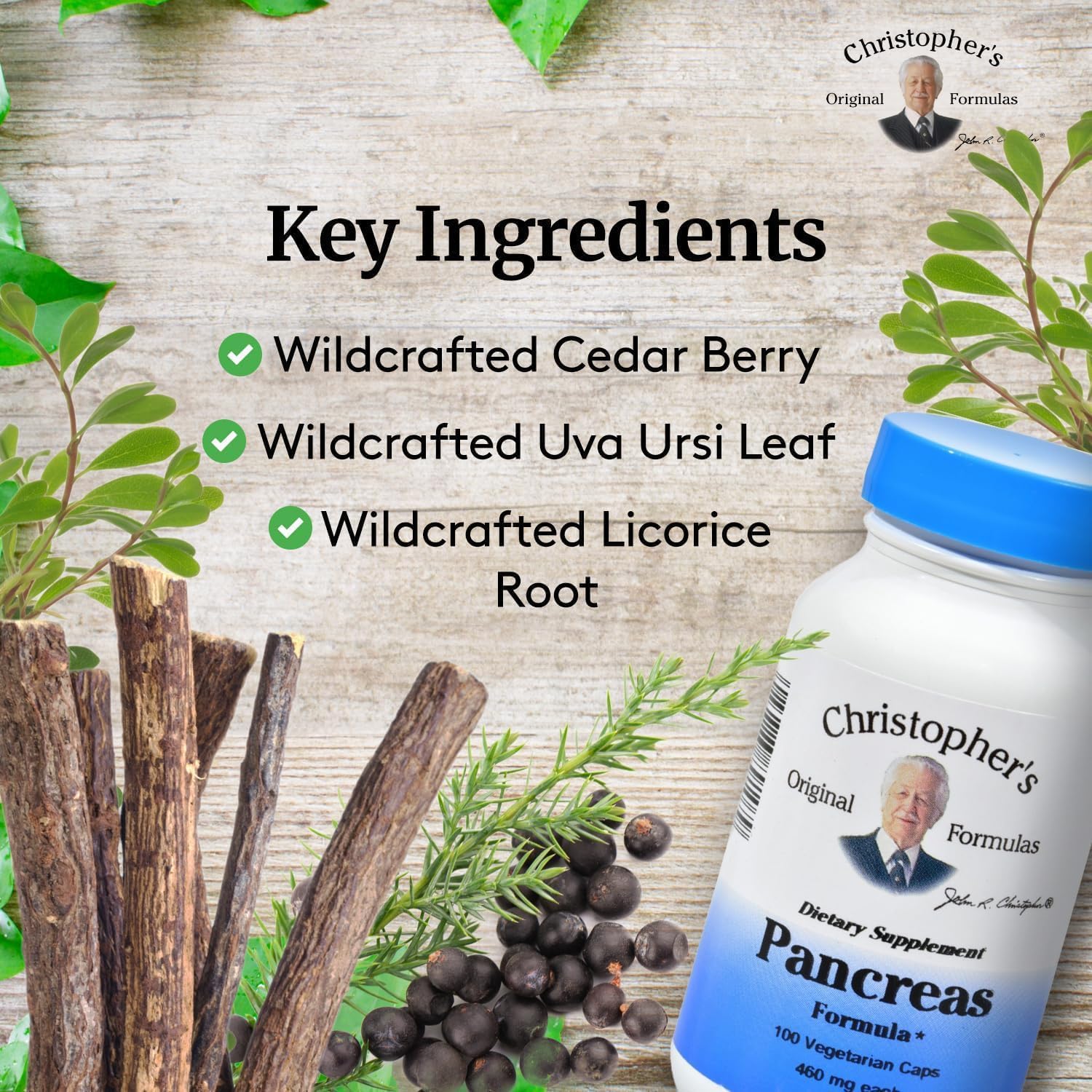 Dr. Christopher's Pancreas Formula - 100 Vegetarian Capsules