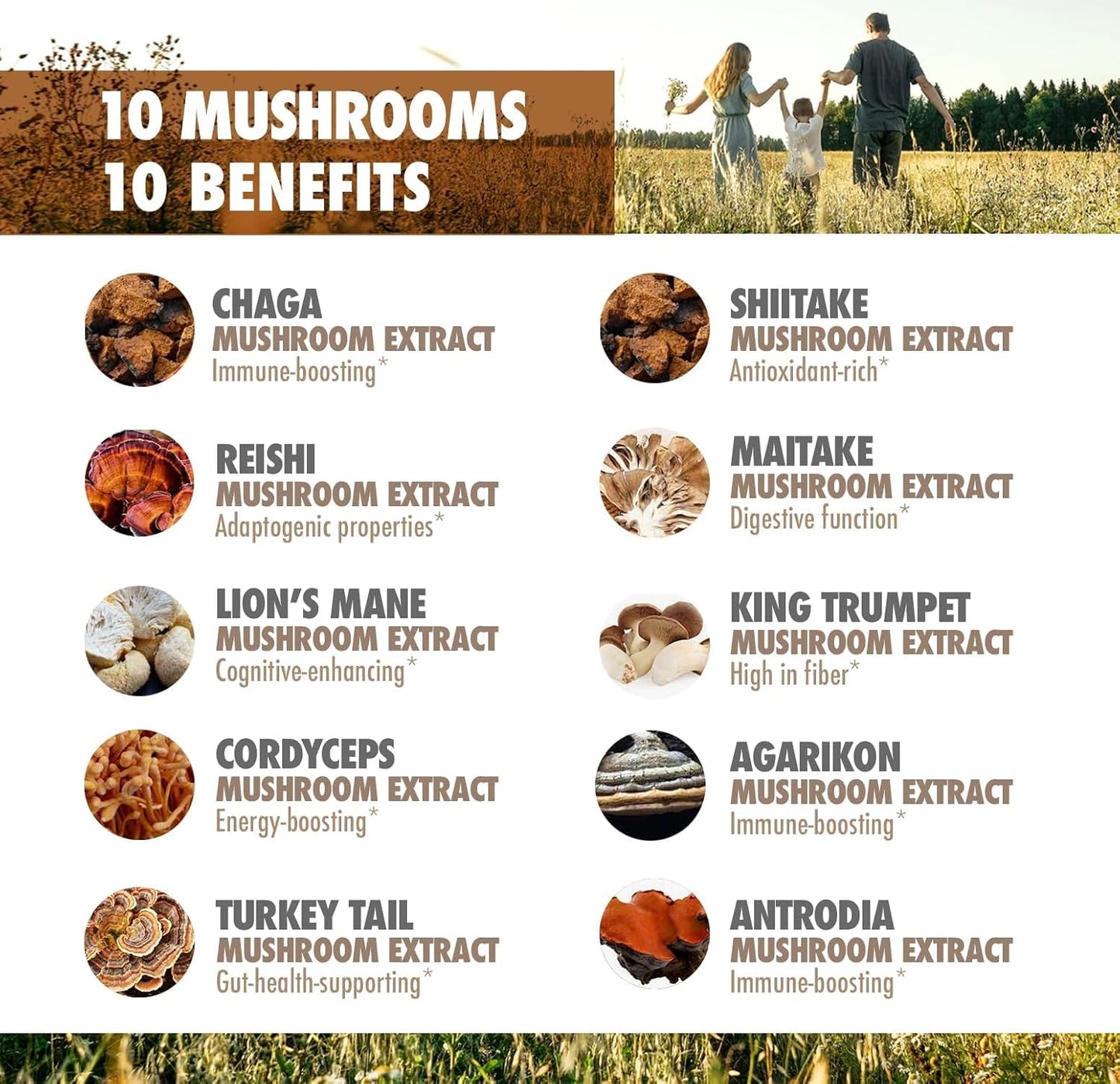 Dr. Emil Nutrition 10 Mushroom Nootropic Supplement for Mental Clarity, Focus & Immune Support - Lions Mane Extract, Cordyceps, Turkey Tail & More