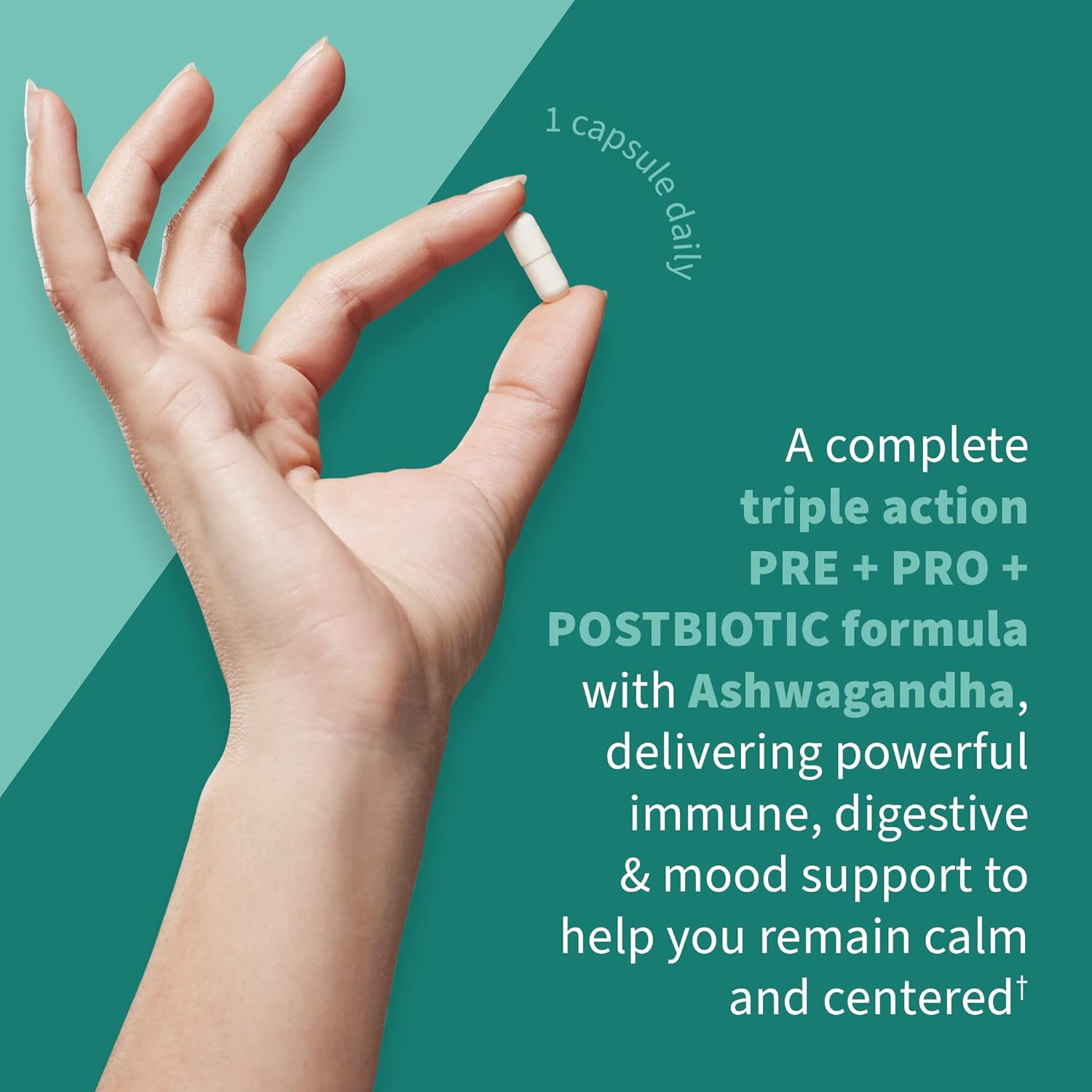 Dr. Formulated Calm Daily 3-in-1 Probiotics with Ashwagandha - Immune, Digestive & Mood Support - 30 Day Supply
