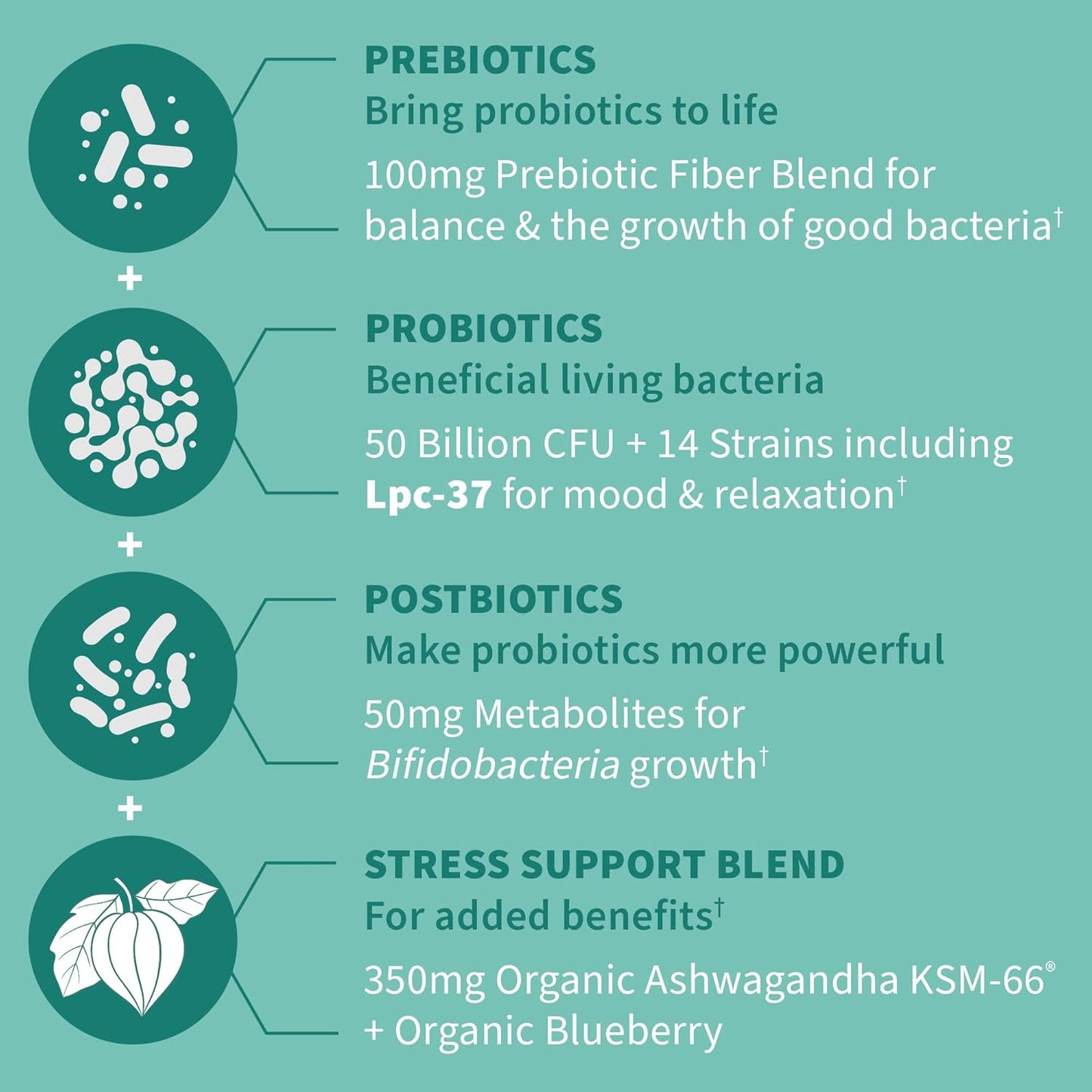 Dr. Formulated Calm Daily 3-in-1 Probiotics with Ashwagandha - Immune, Digestive & Mood Support - 30 Day Supply