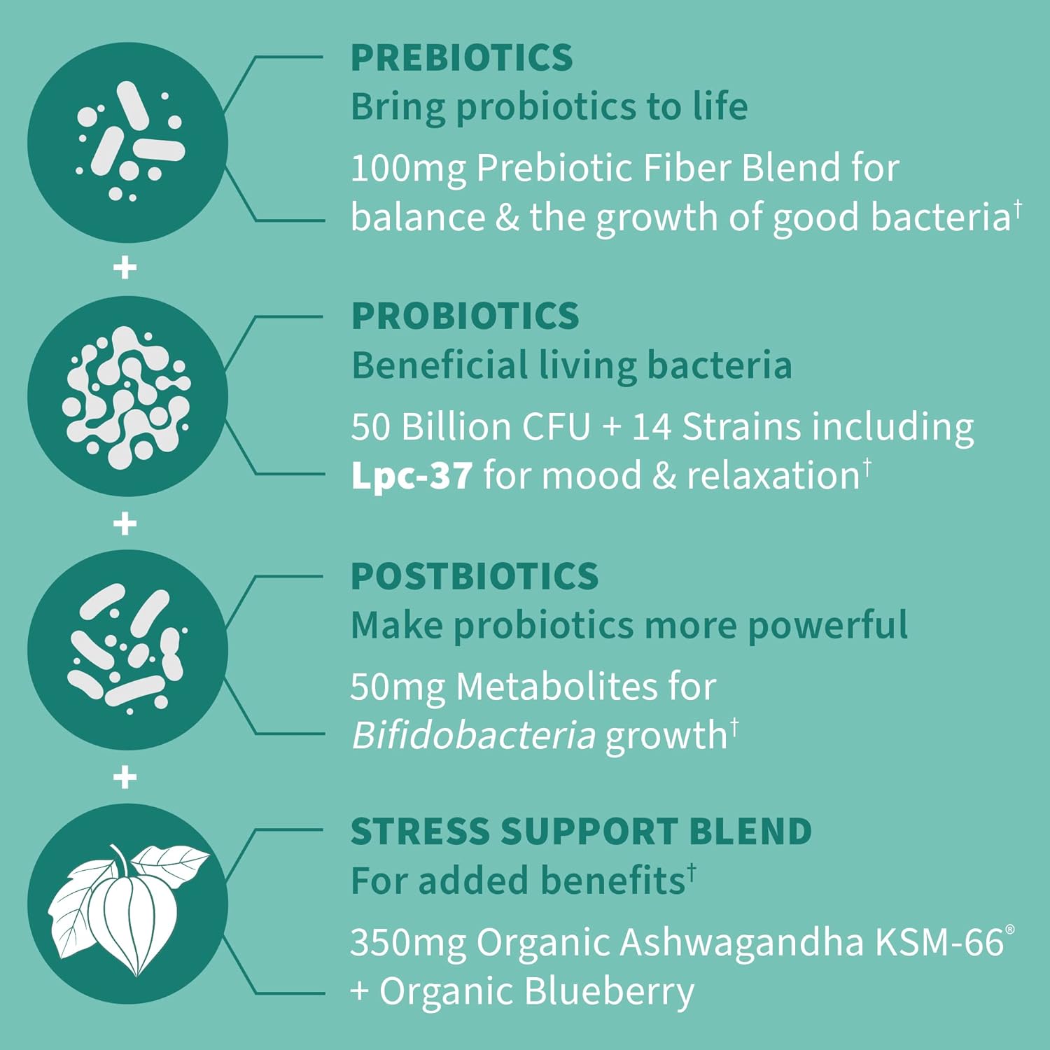 Dr. Formulated Calm Daily 3-in-1 Probiotics with Ashwagandha - Immune, Digestive & Mood Support - 30 Day Supply