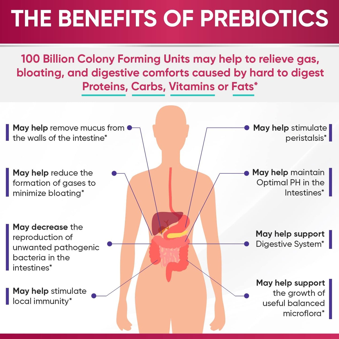 Dr. Formulated Raw Probiotics for Women - 100 Billion CFUs Capsules with Prebiotics and Digestive Enzymes, Shelf Stable Supplement for Adults