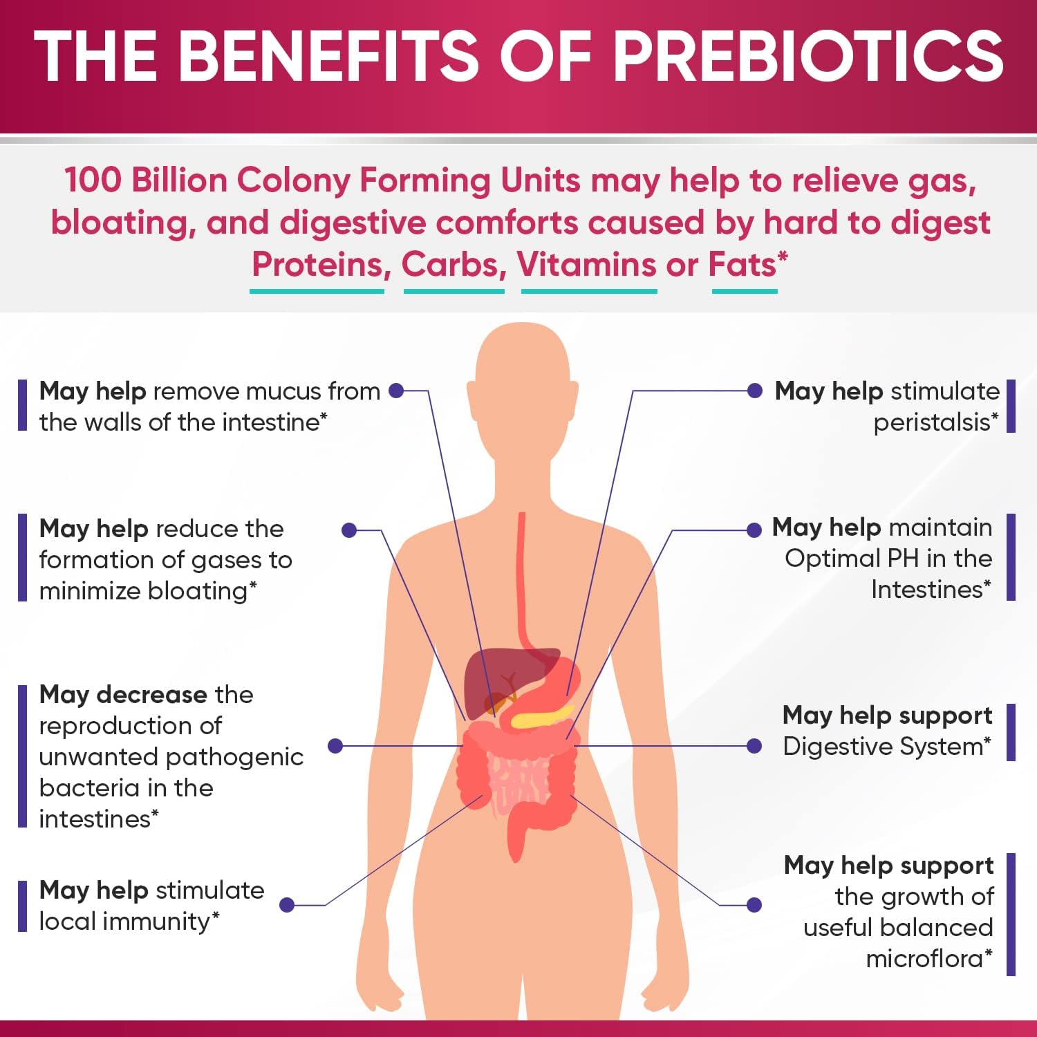 Dr. Formulated Raw Probiotics for Women - 100 Billion CFUs Capsules with Prebiotics and Digestive Enzymes, Shelf Stable Supplement for Adults