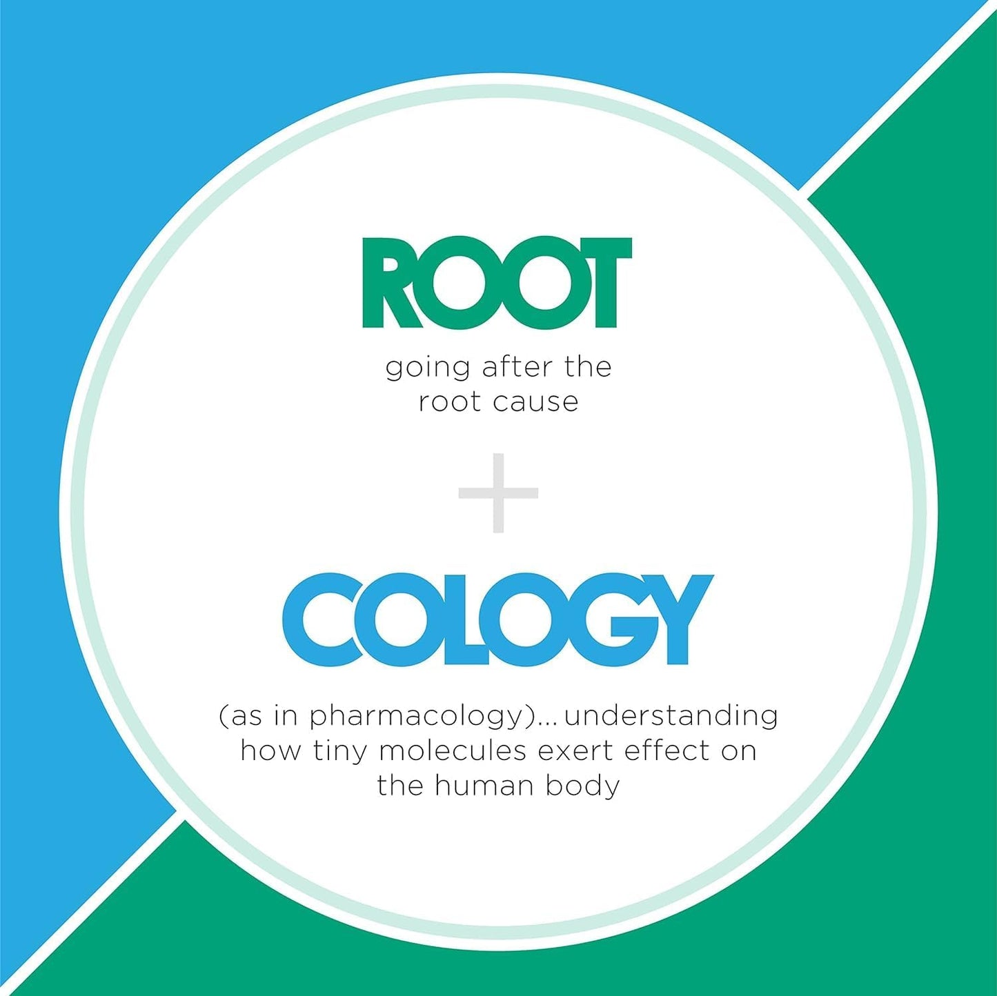 Dr. Izabella Wentz Rootcology P5P Active Vitamin B6 120 Vegetarian Capsules for Balanced Mood & Stress Support