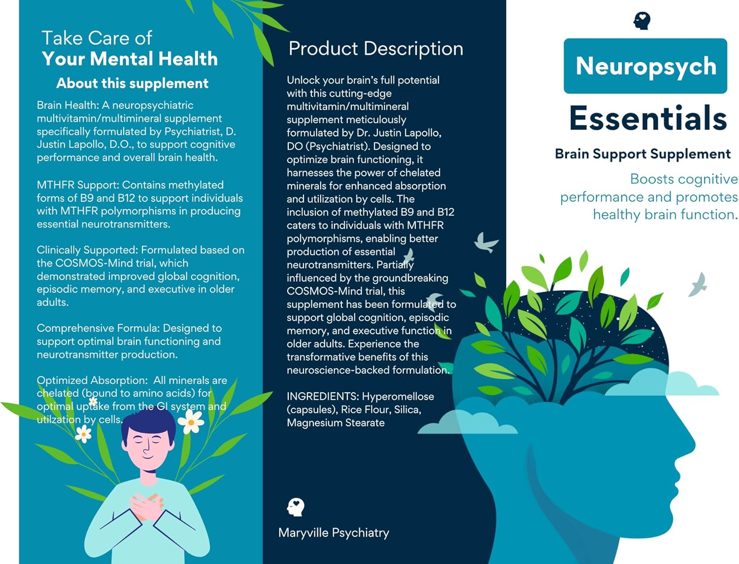 Dr. Justin Lapollo's Neuroprotective Brain Support Supplement, Enhances Cognitive Function with Multivitamin/Multimineral Formula, 60 Capsules