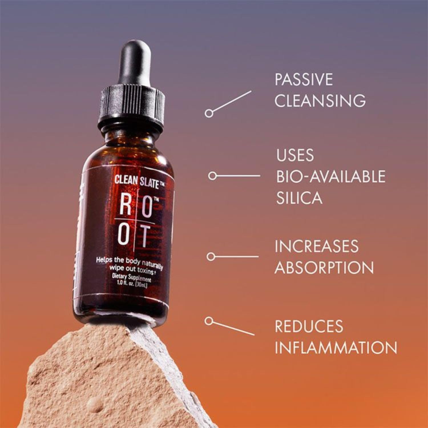 Dr. Rahm's Root Wellness Clean Slate: Silicic Acid & Vitamin C Supplement (30 ml)