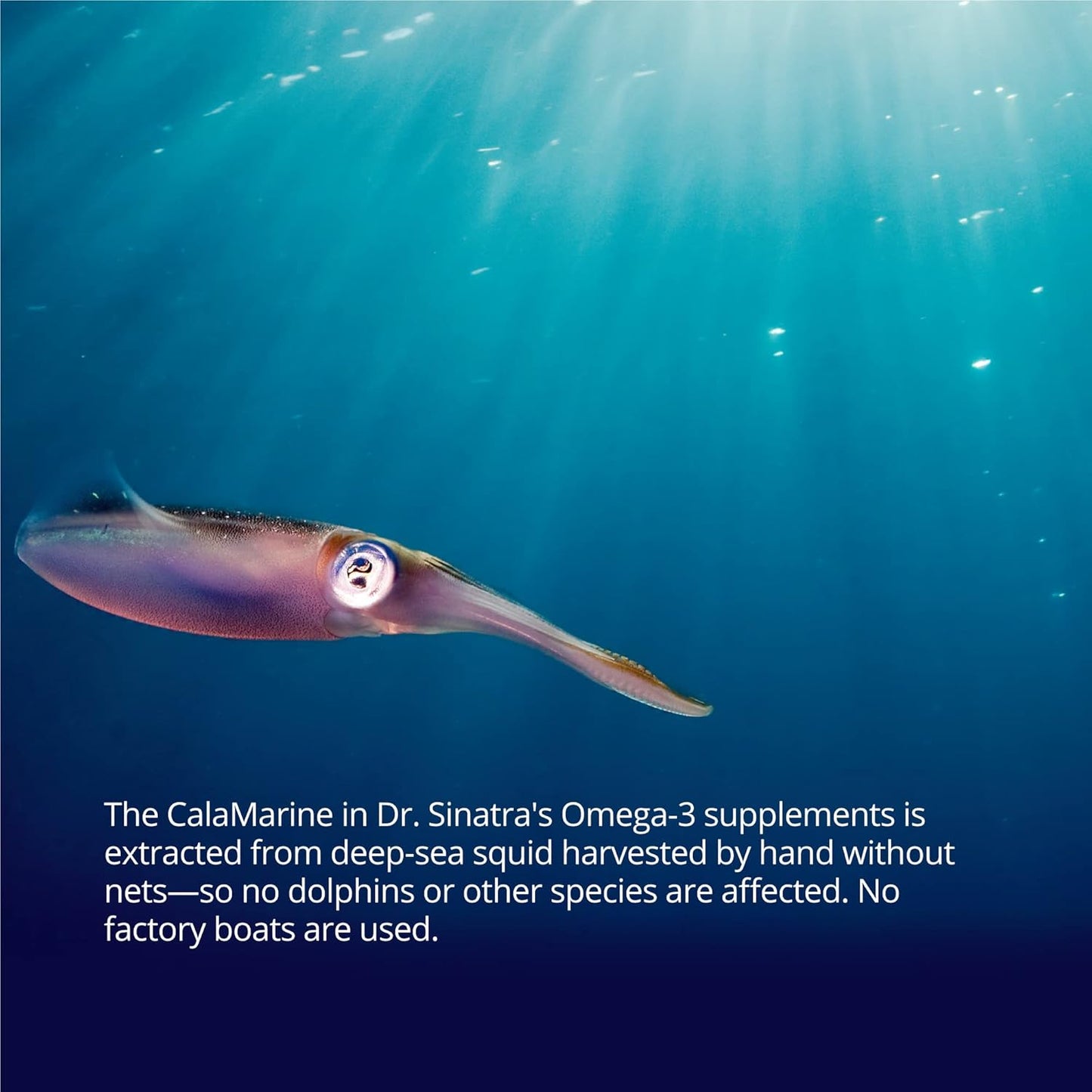 Dr. Sinatra Omega-3 Supplement for Brain, Heart, and Eye Health - 60 Softgels