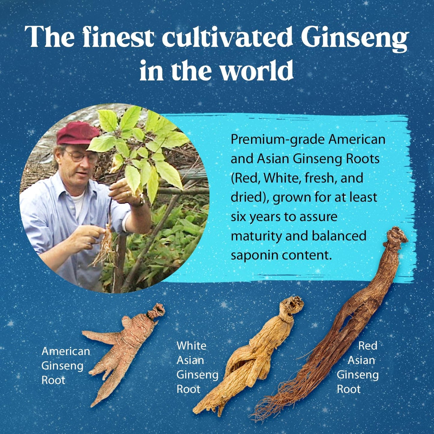 Dragon Herbs Ginseng Sublime Drops - Natural Energy & Immune Support Supplement - American, Red, White Ginseng - 2 fl. oz