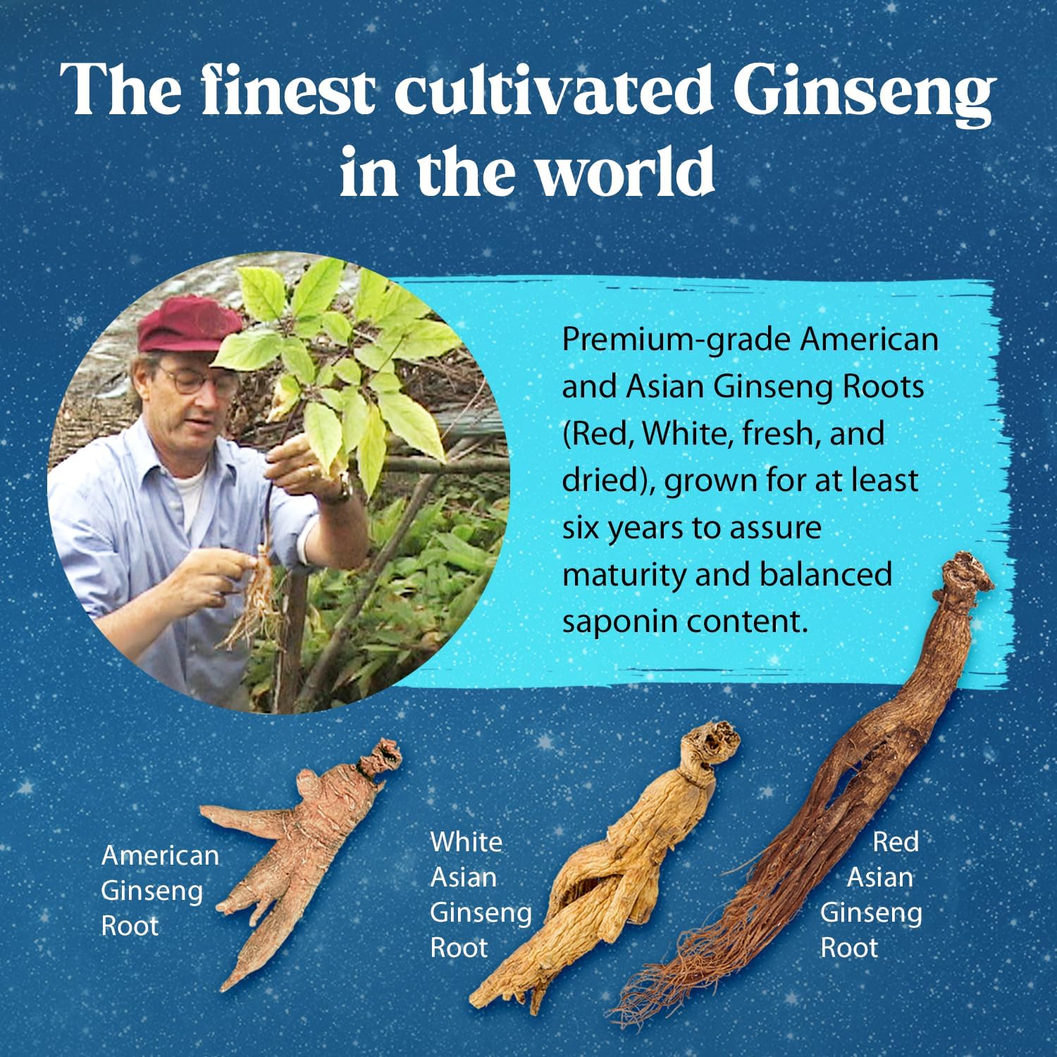 Dragon Herbs Ginseng Sublime Drops - Natural Energy & Immune Support Supplement - American, Red, White Ginseng - 2 fl. oz