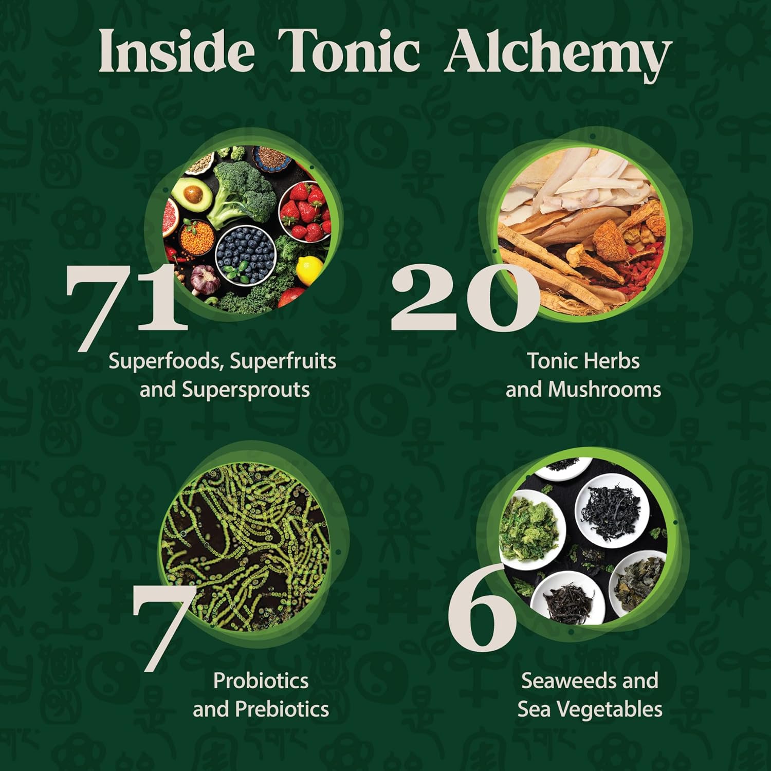 Dragon Herbs Tonic Alchemy Superfood Greens Powder - 91 Ingredients - Single Serve Packet