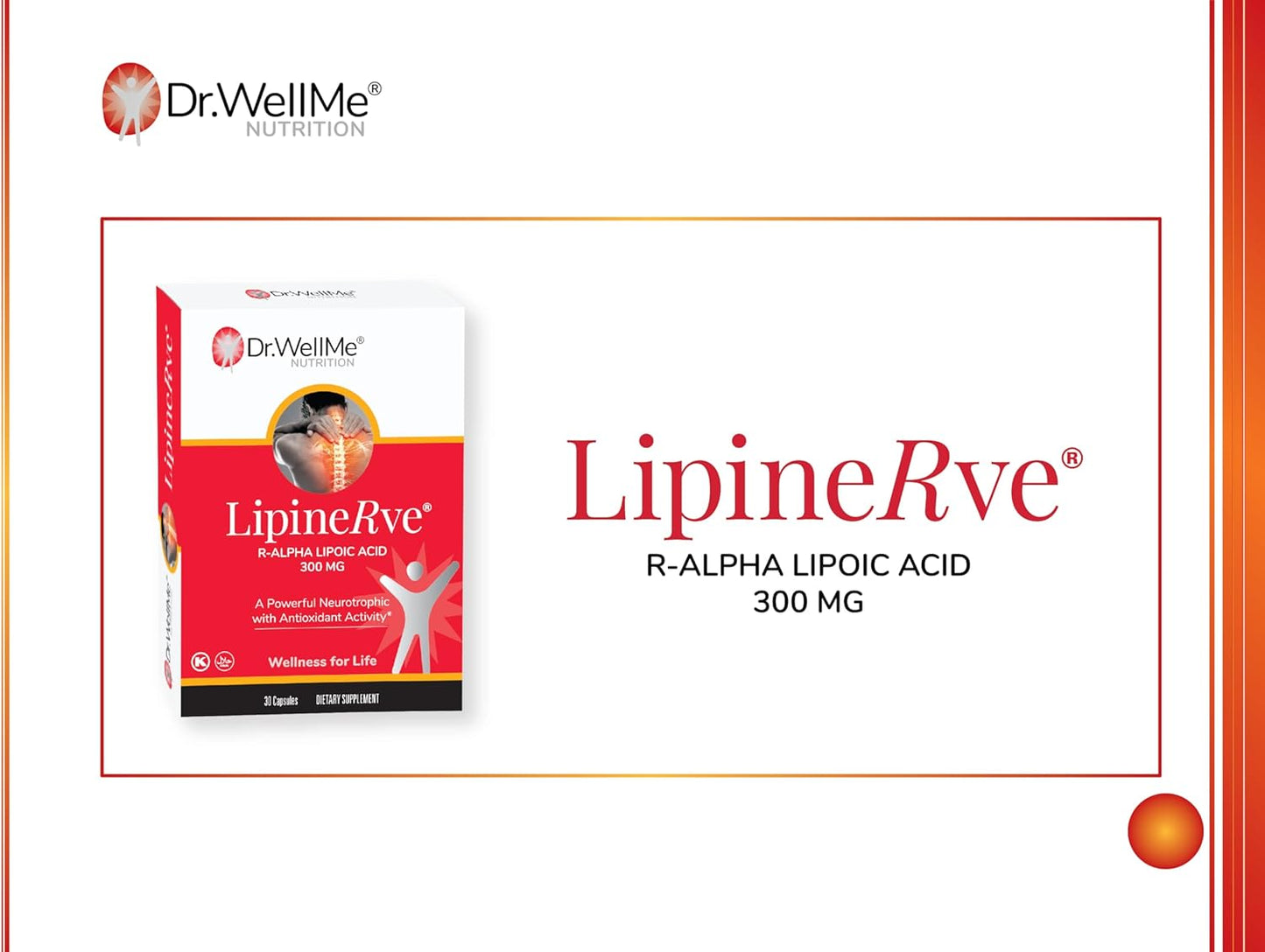 Dr.WellMe Lipinerve R Alpha Lipoic Acid Capsules - 300mg Antioxidant Supplement, Kosher & Halal - 30 Count USA-made