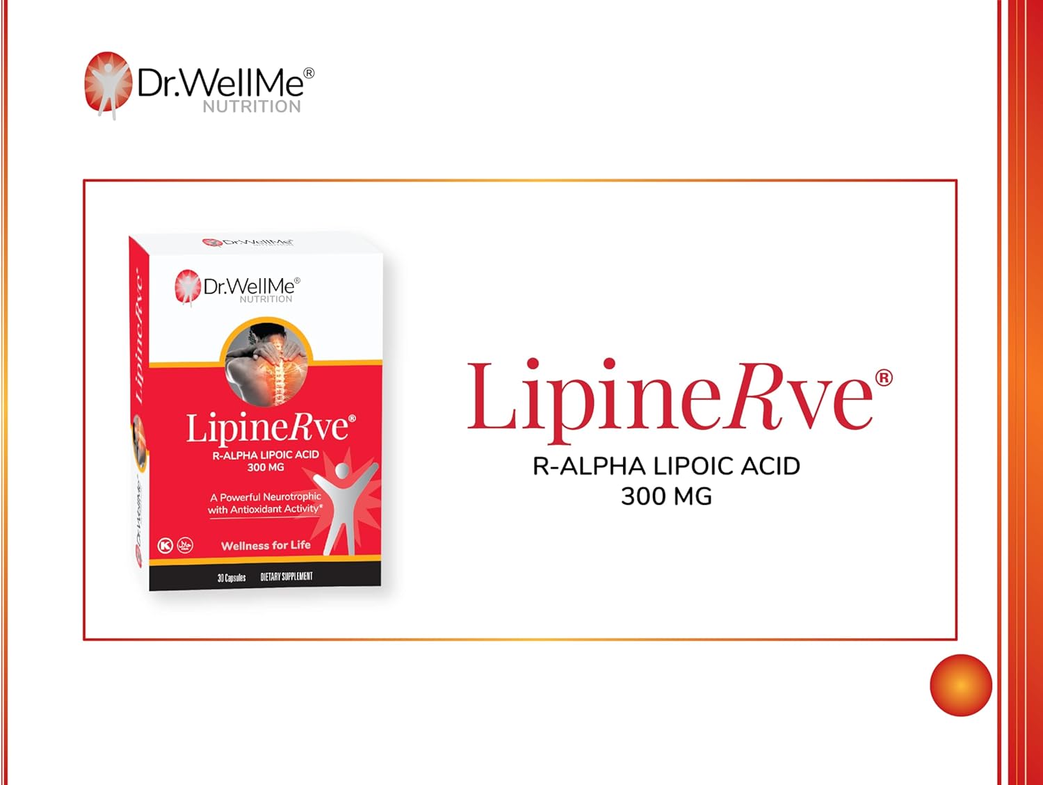 Dr.WellMe Lipinerve R Alpha Lipoic Acid Capsules - 300mg Antioxidant Supplement, Kosher & Halal - 30 Count USA-made