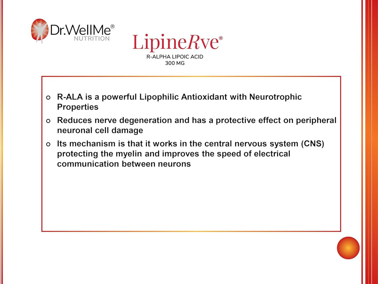 Dr.WellMe Lipinerve R Alpha Lipoic Acid Capsules - 300mg Antioxidant Supplement, Kosher & Halal - 30 Count USA-made