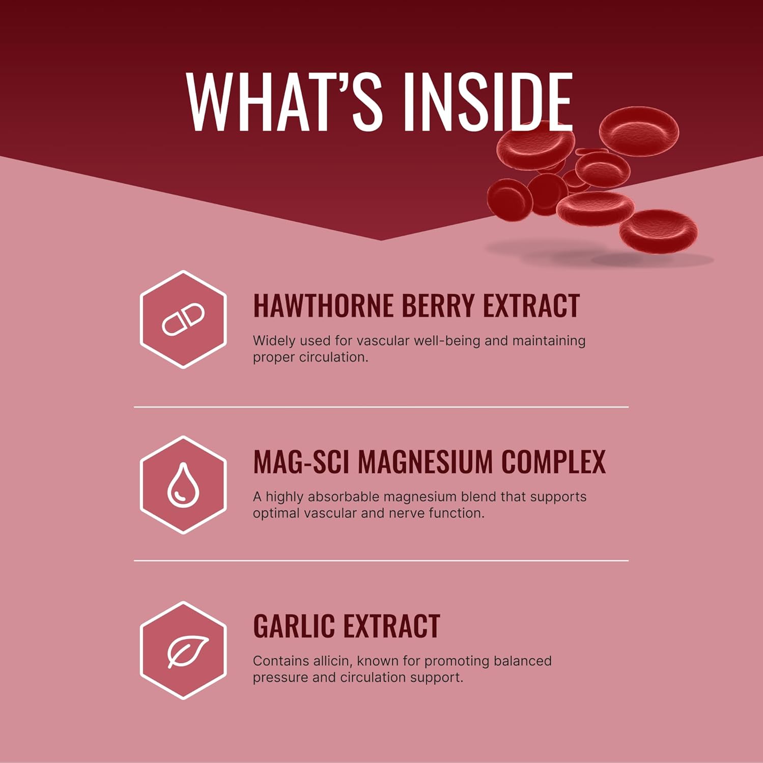 Dual Pack Approved Science Bloodsyl Capsules with Hawthorn Berry, Magnesium & BioPerine - Supports Blood Flow - Vegan - 120 Capsules